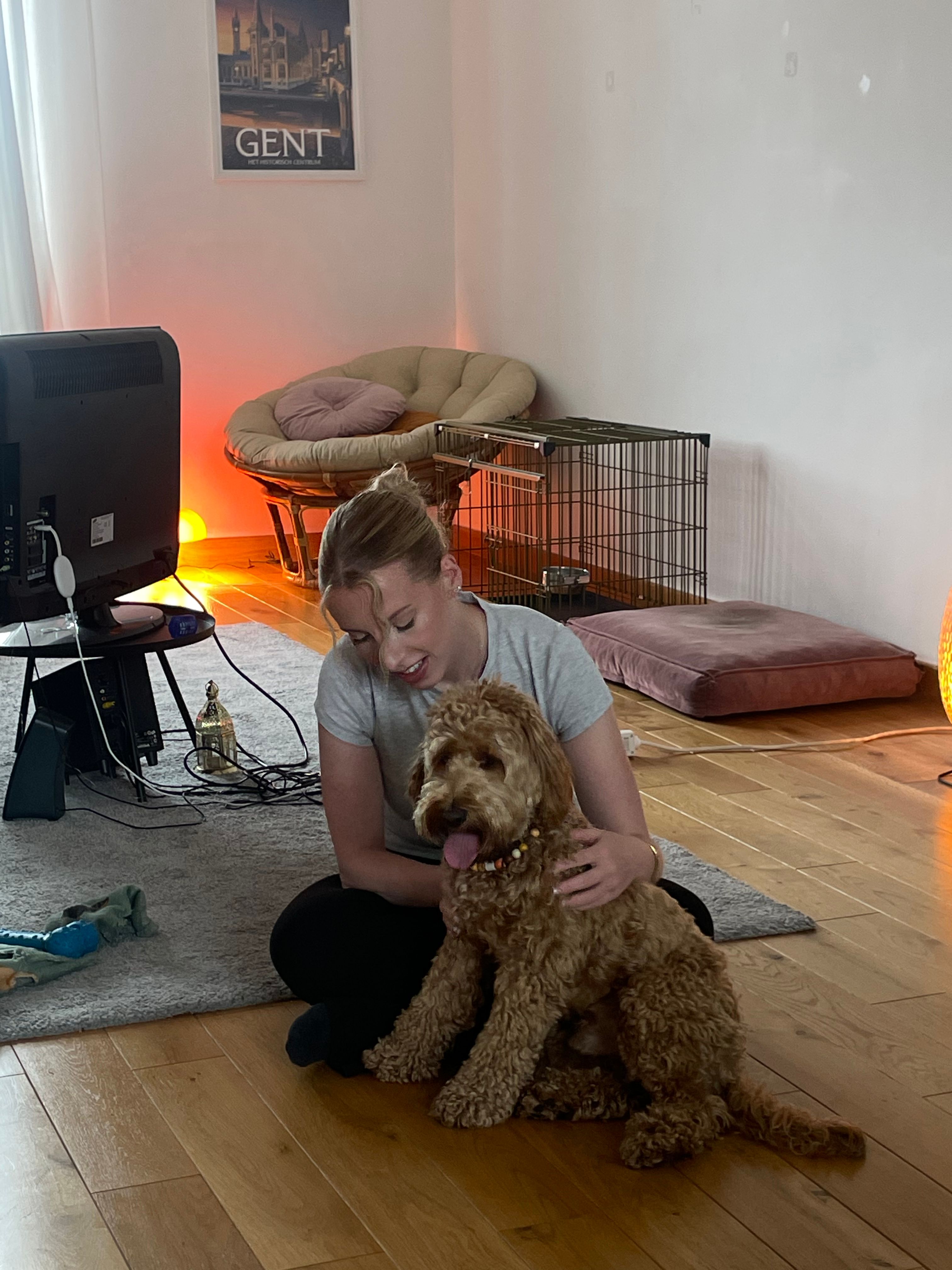 image-8