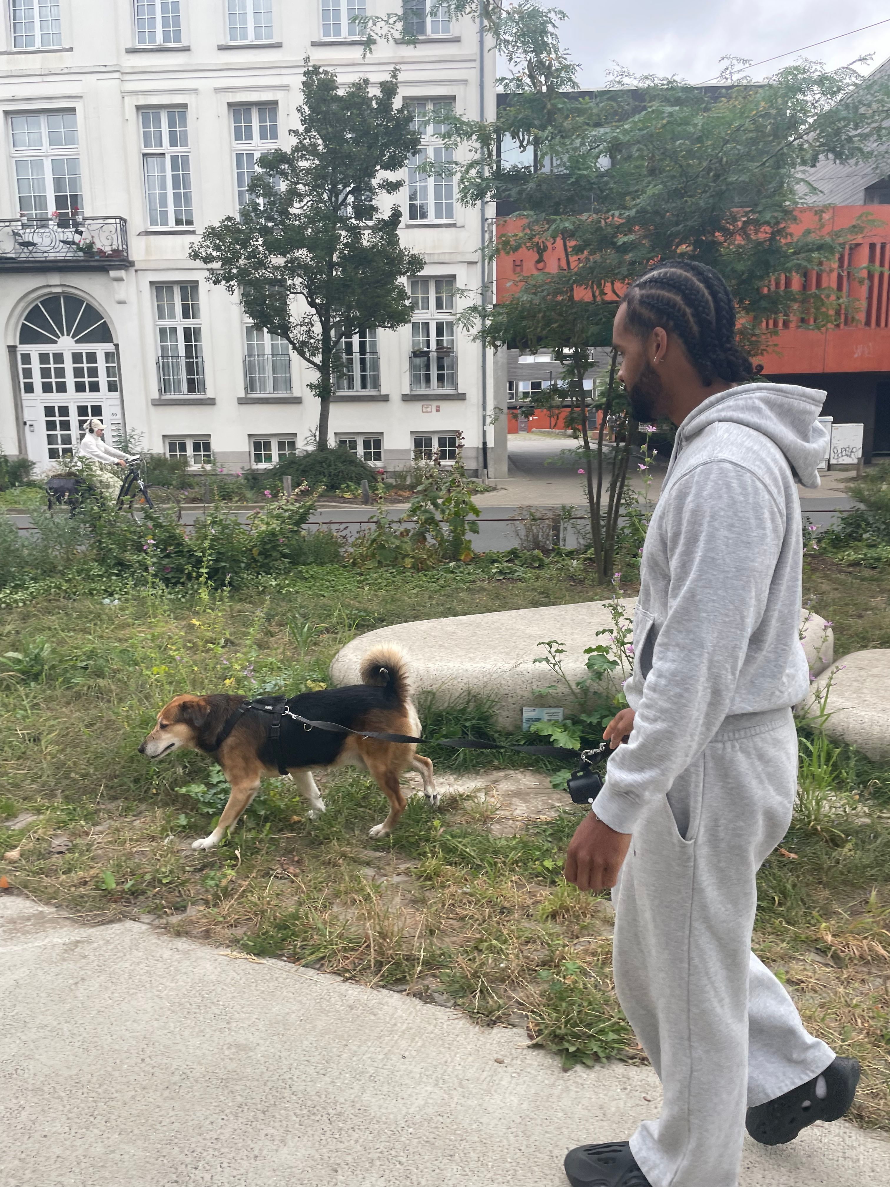 image-9