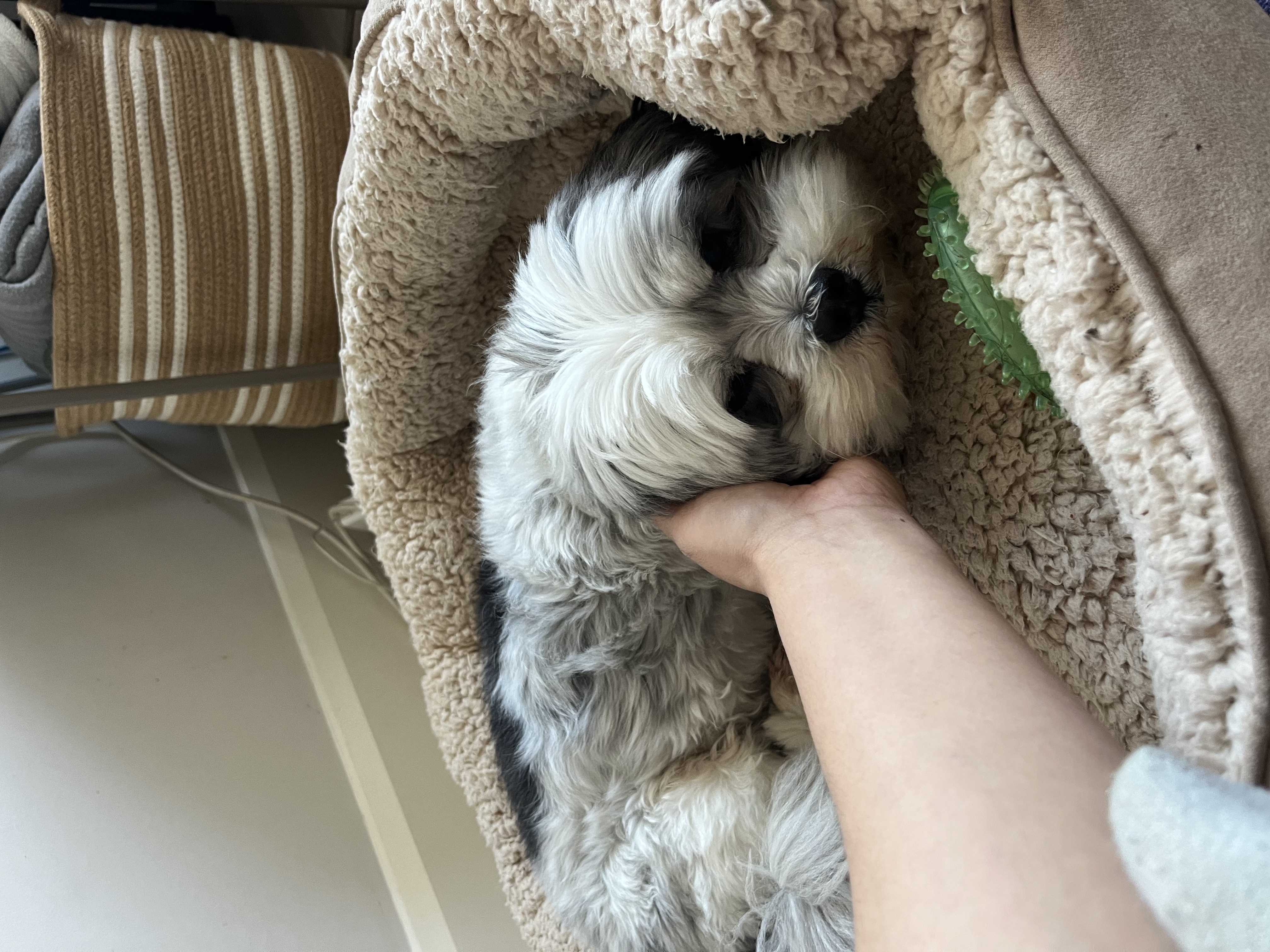 image-8