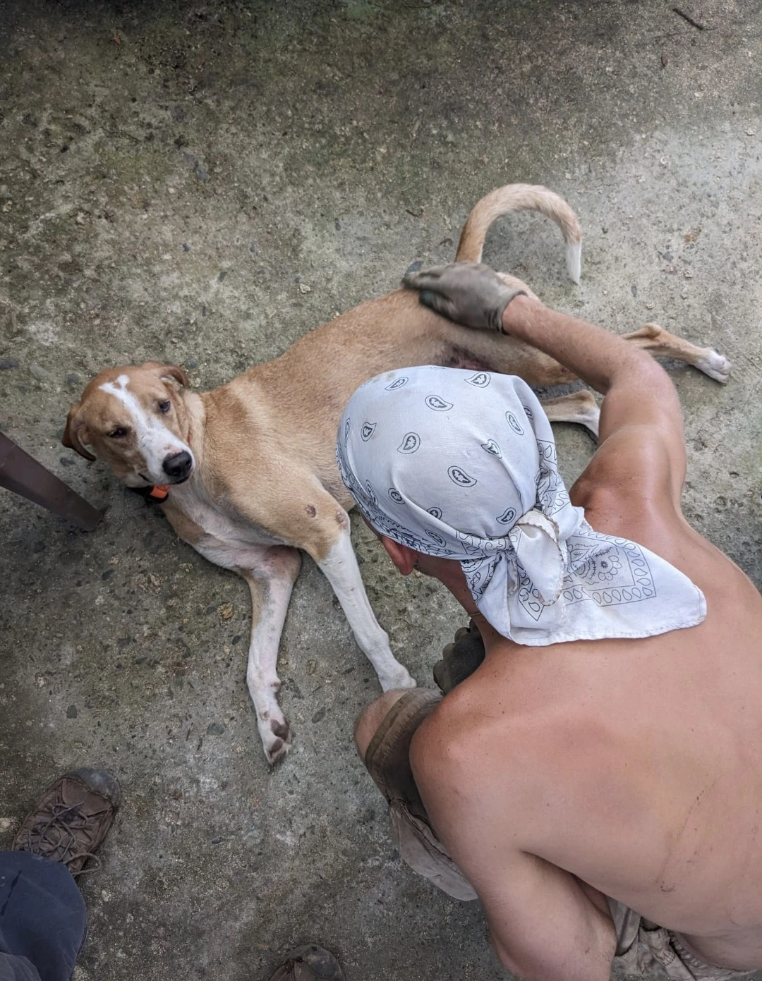 image-6