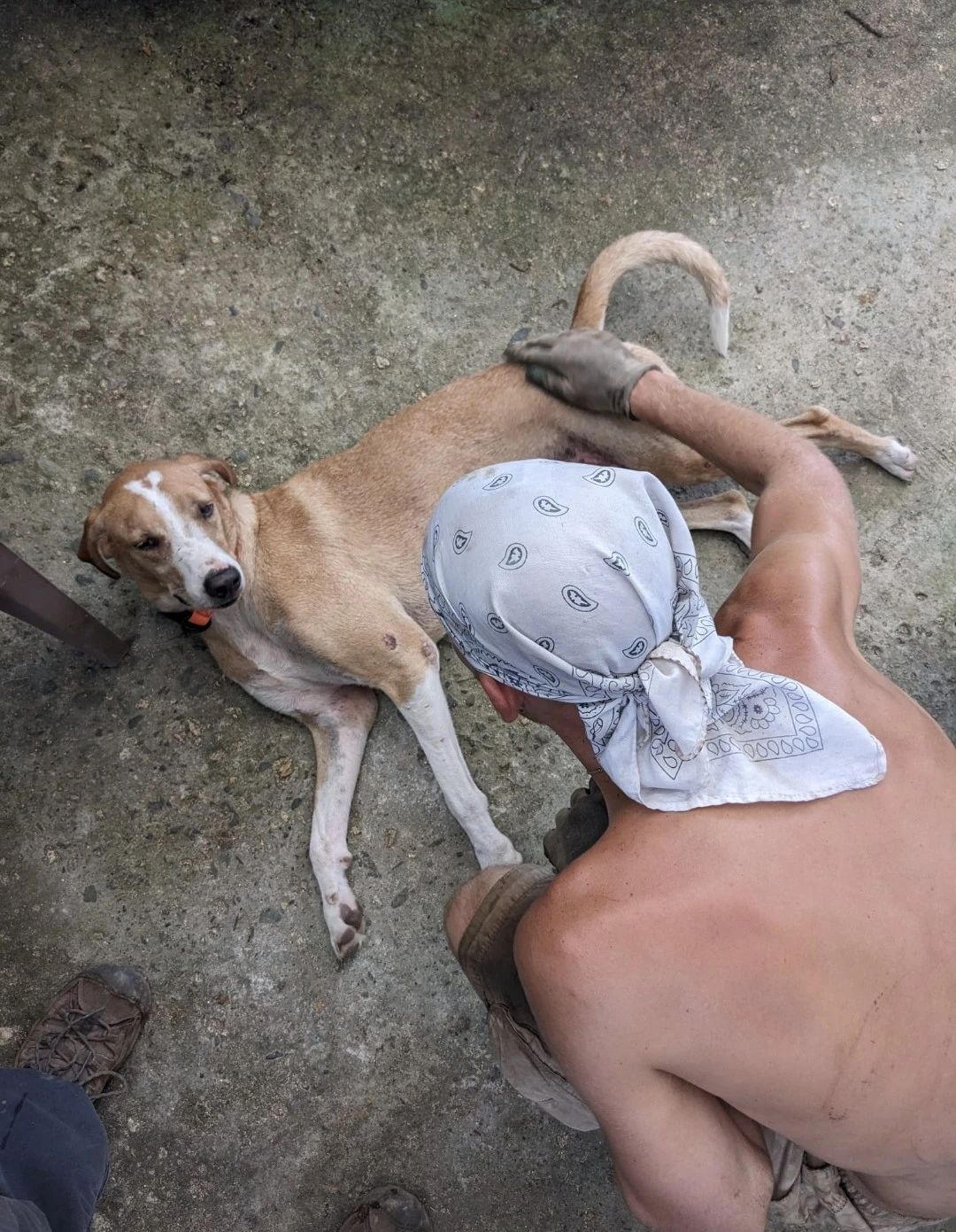 image-6