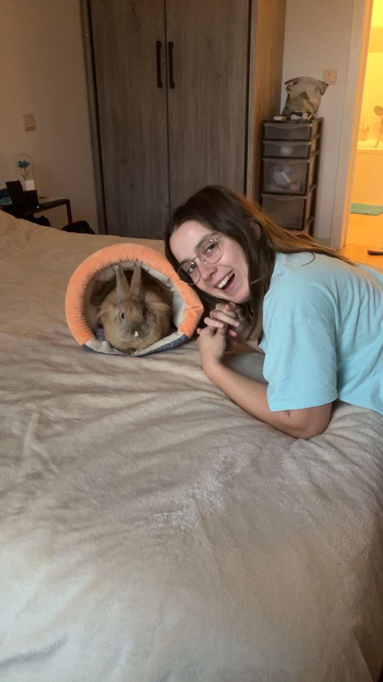 image-11