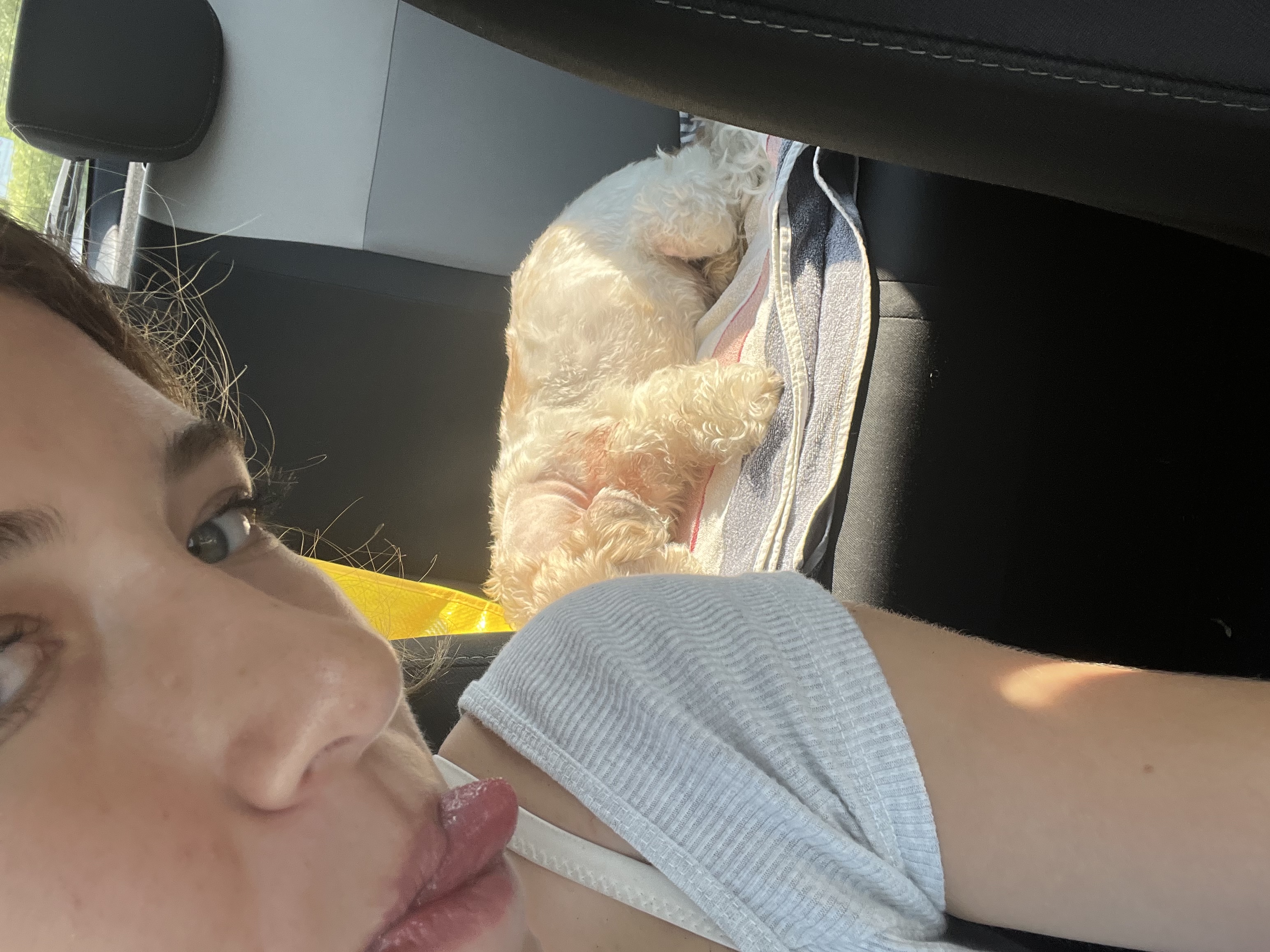 image-8