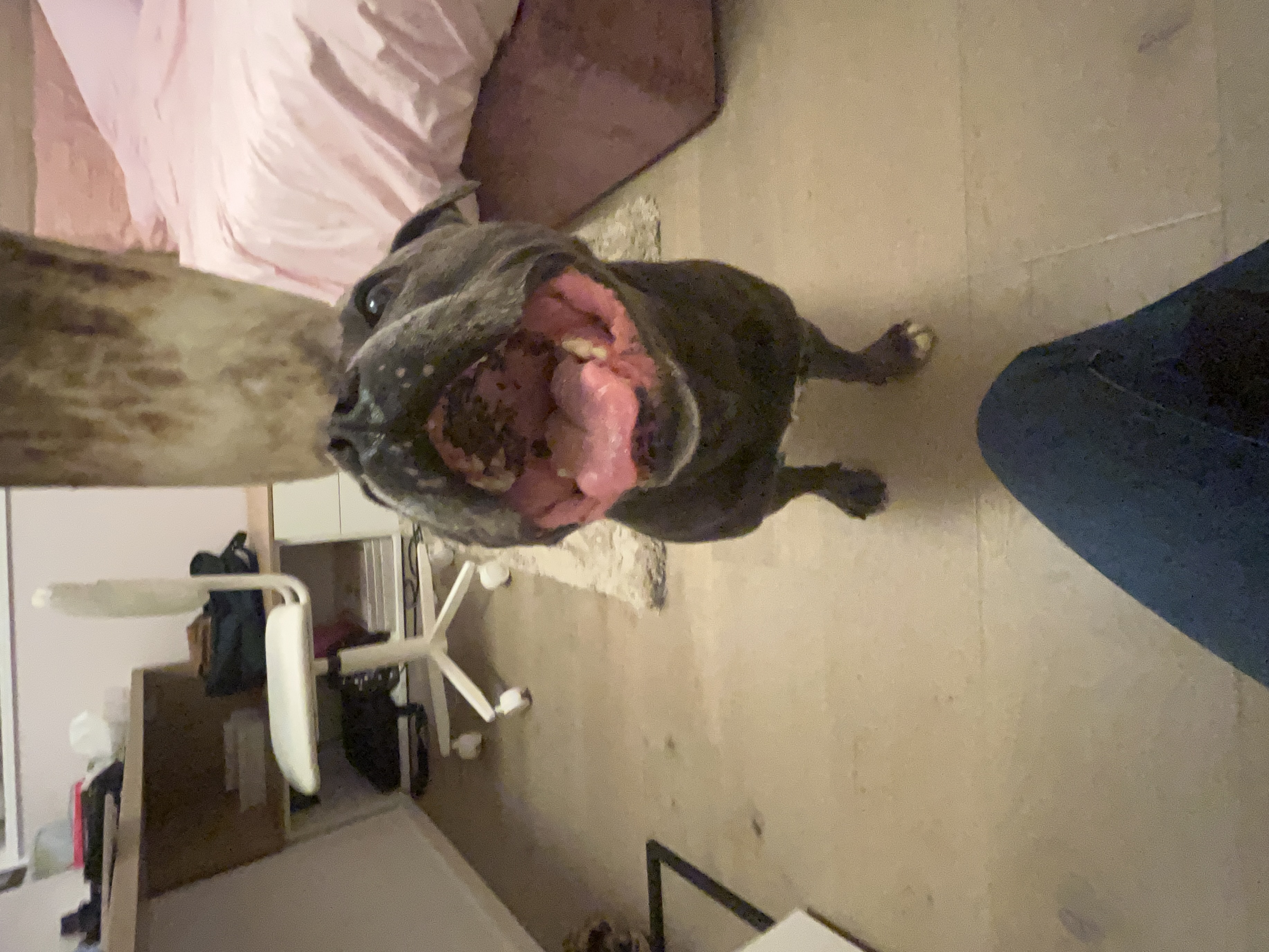 image-4