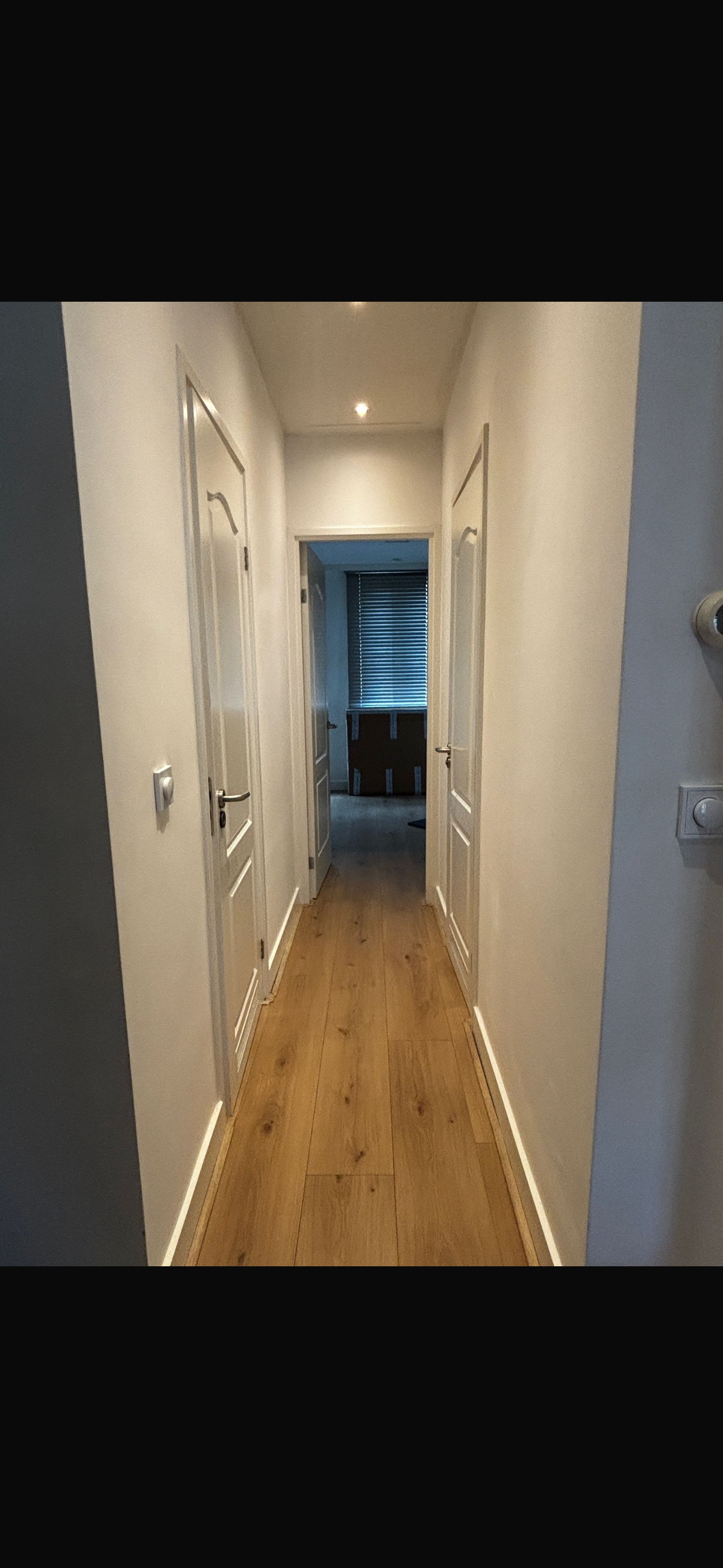 image-19