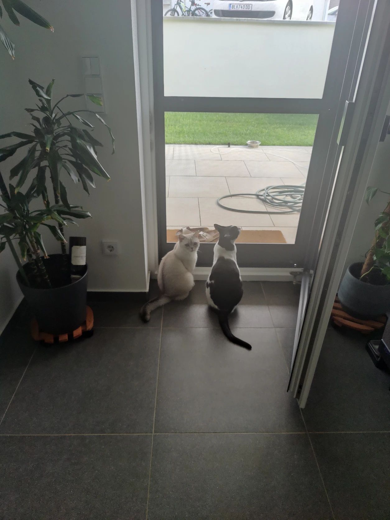 image-18