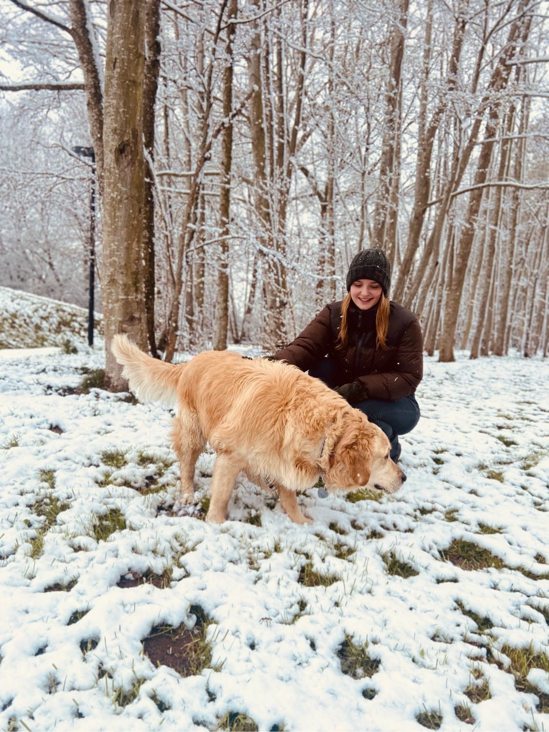 image-8