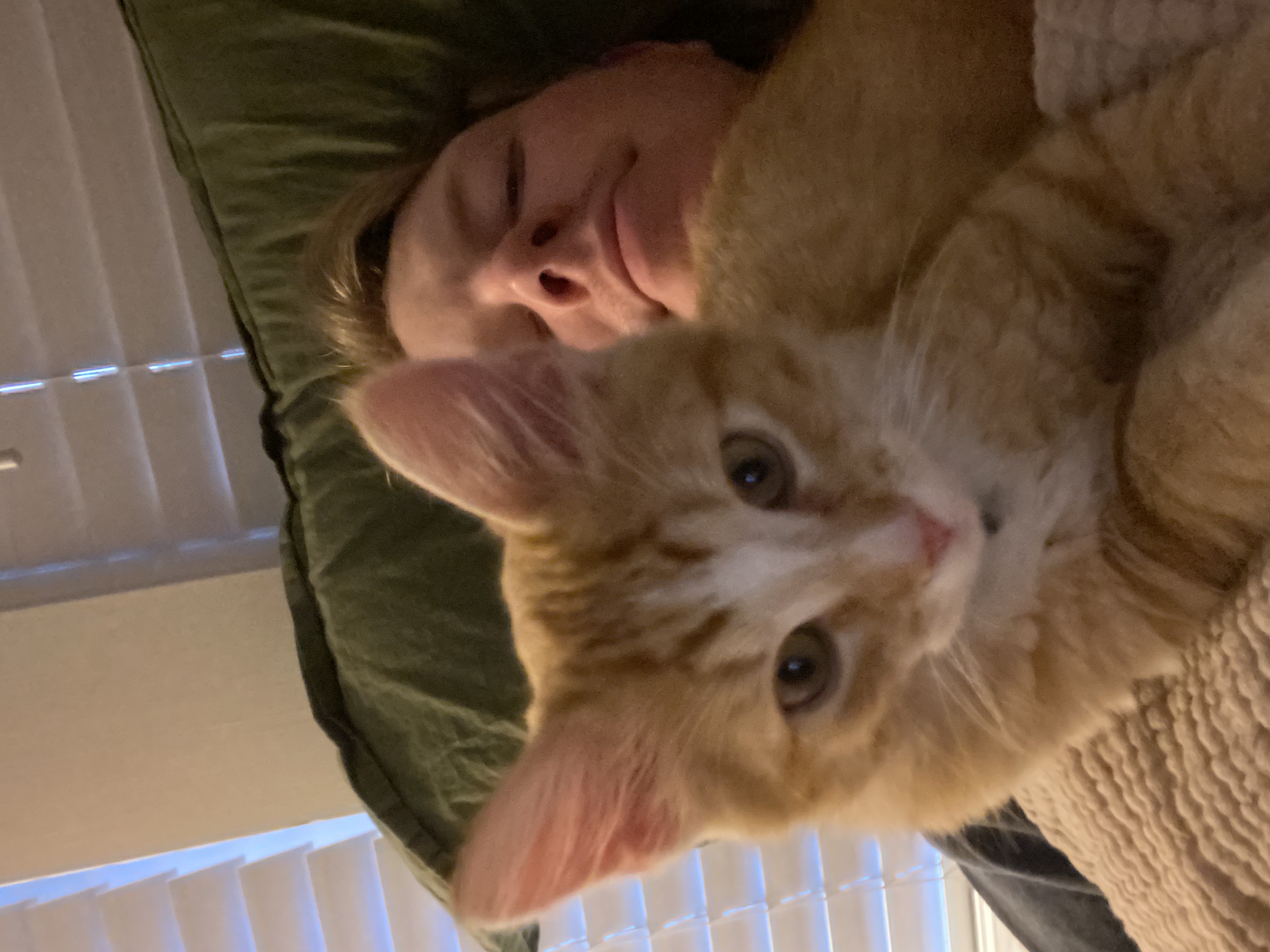 image-6