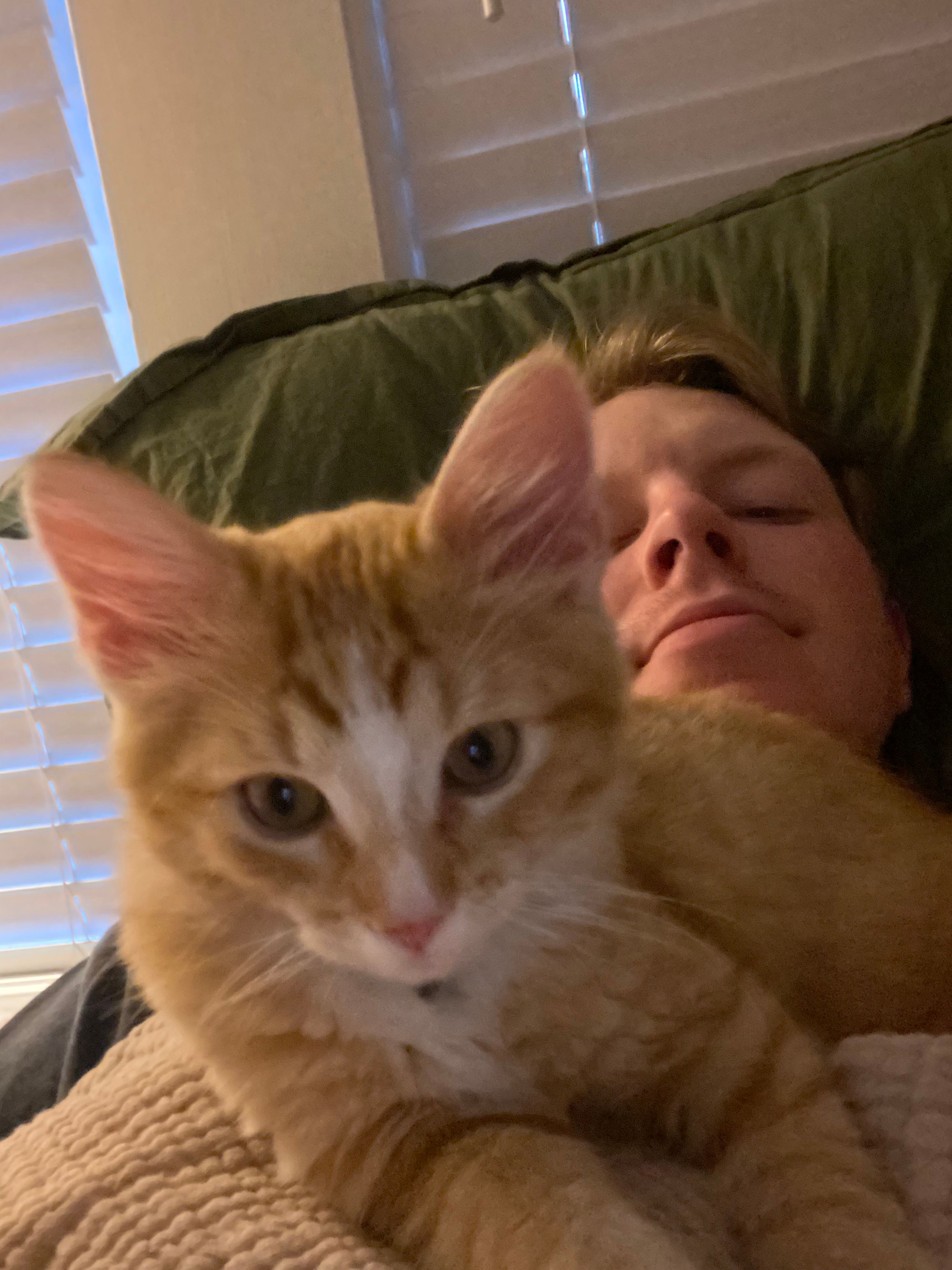 image-6