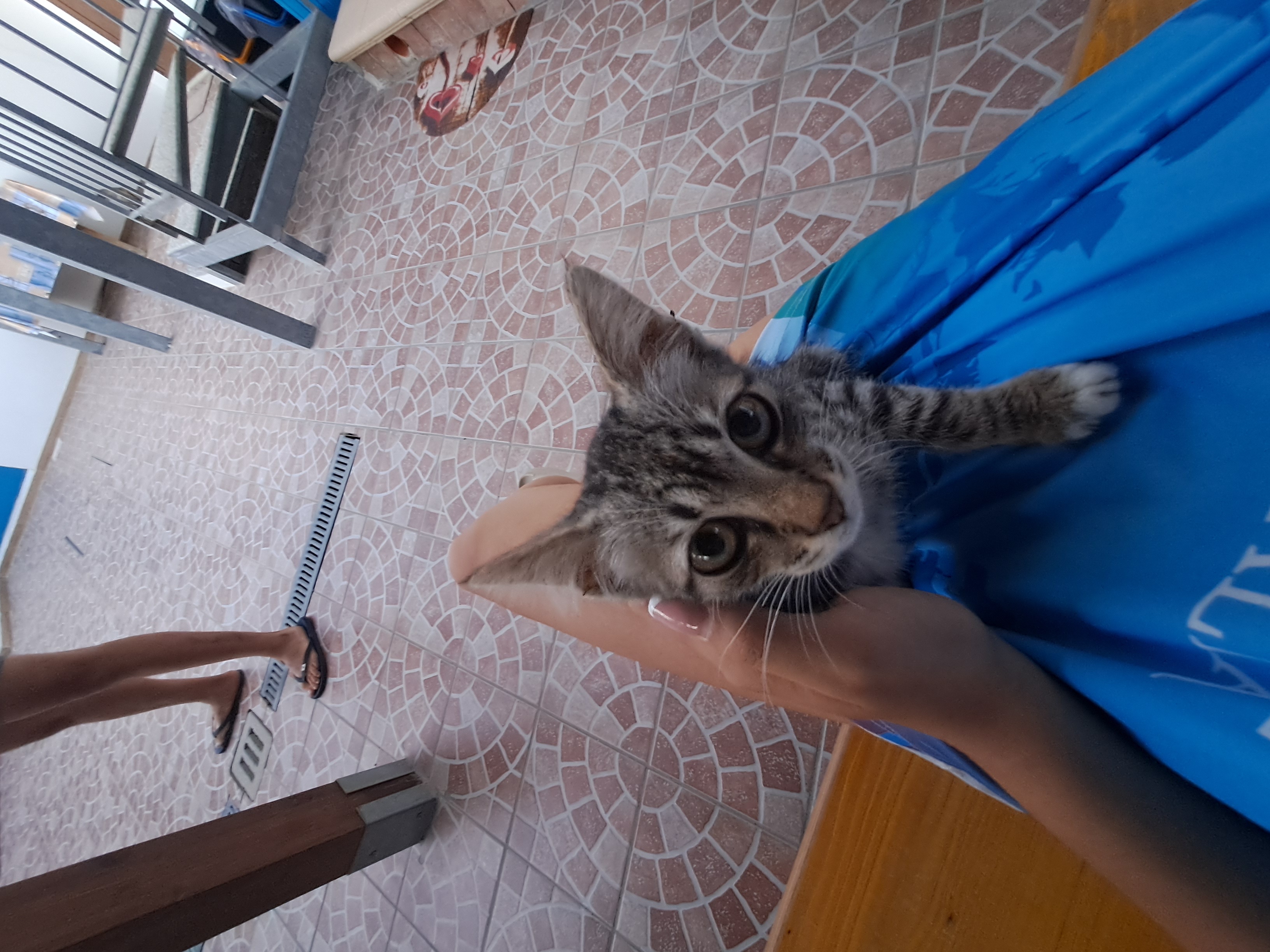 image-6