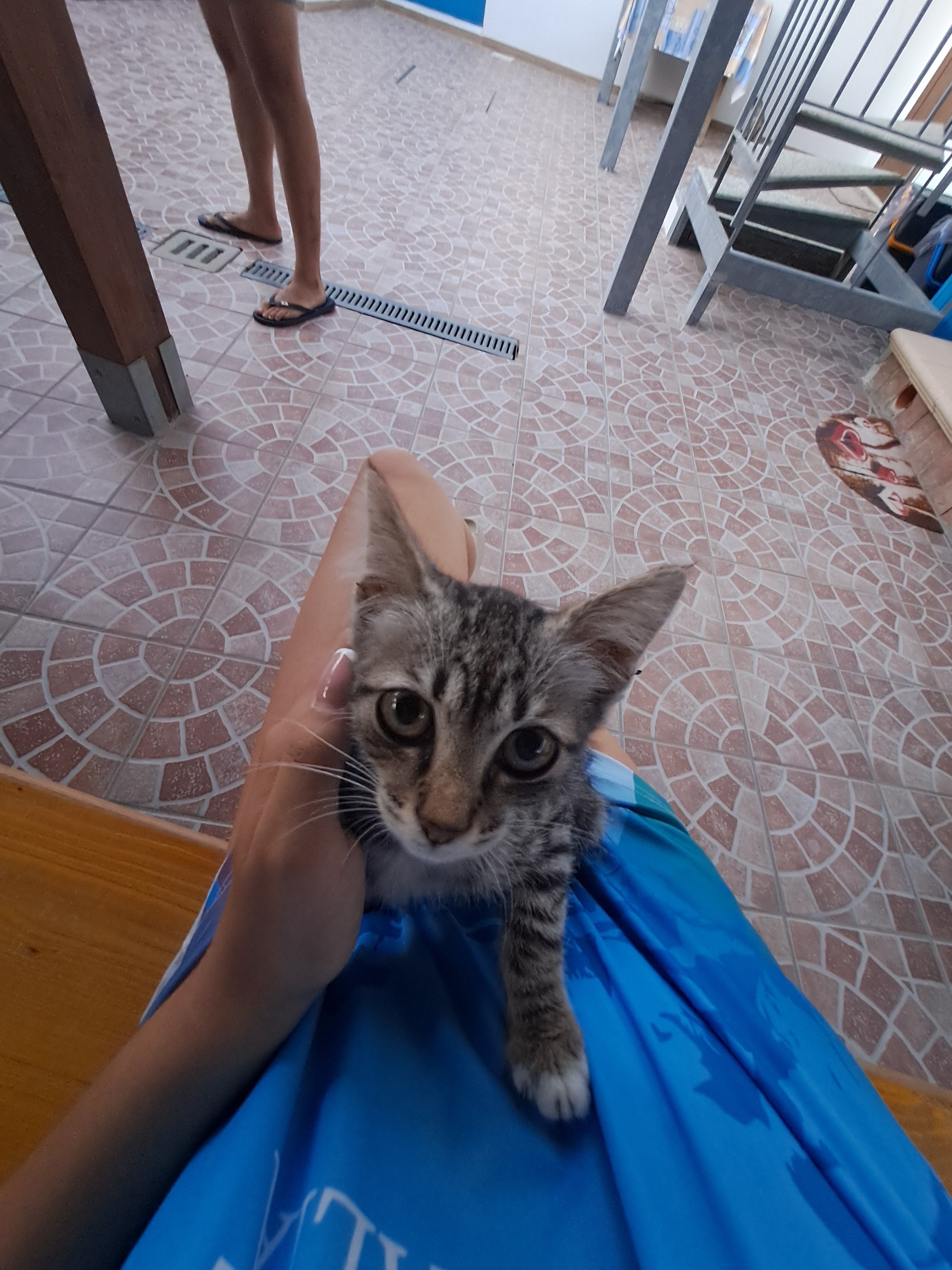 image-6