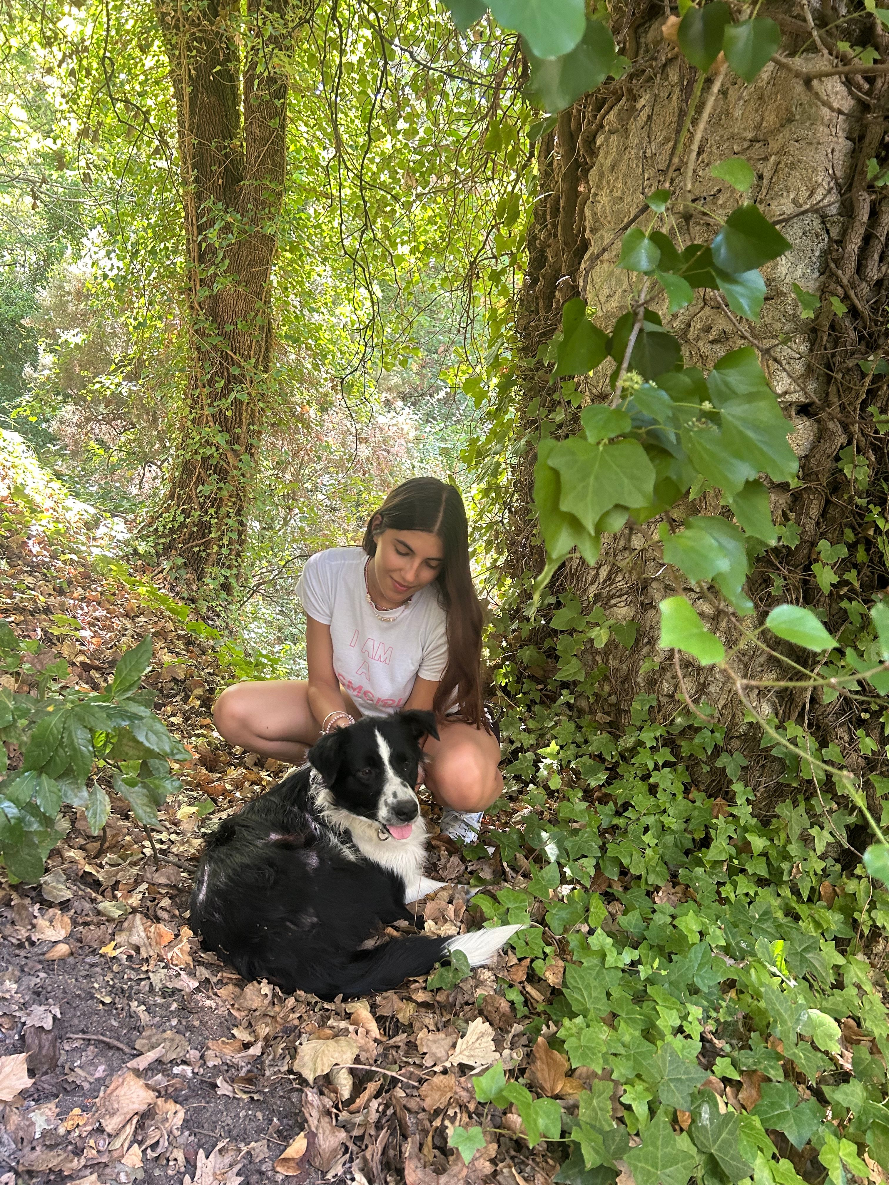 image-4
