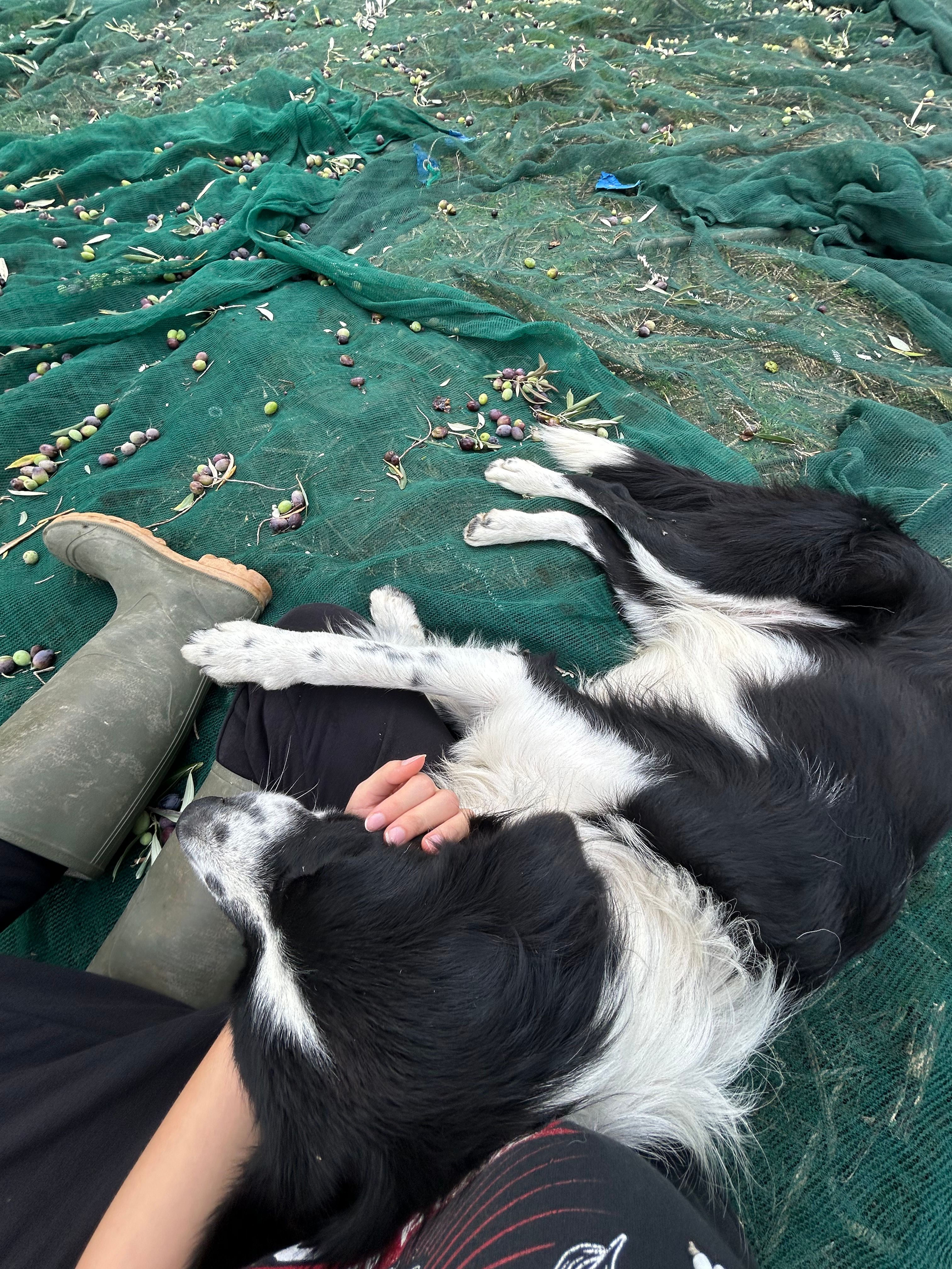 image-8