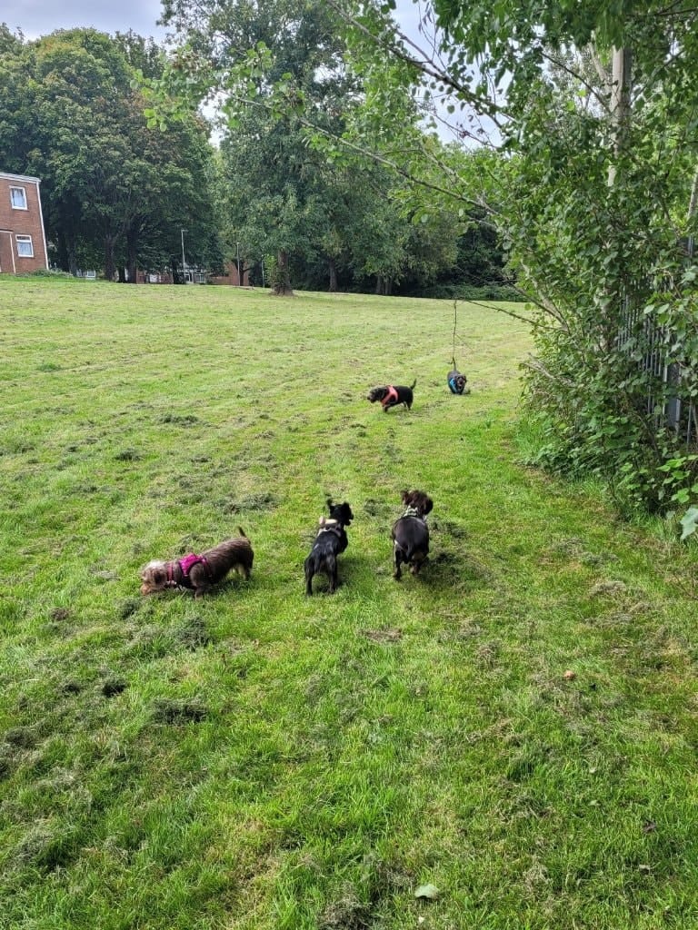 image-13