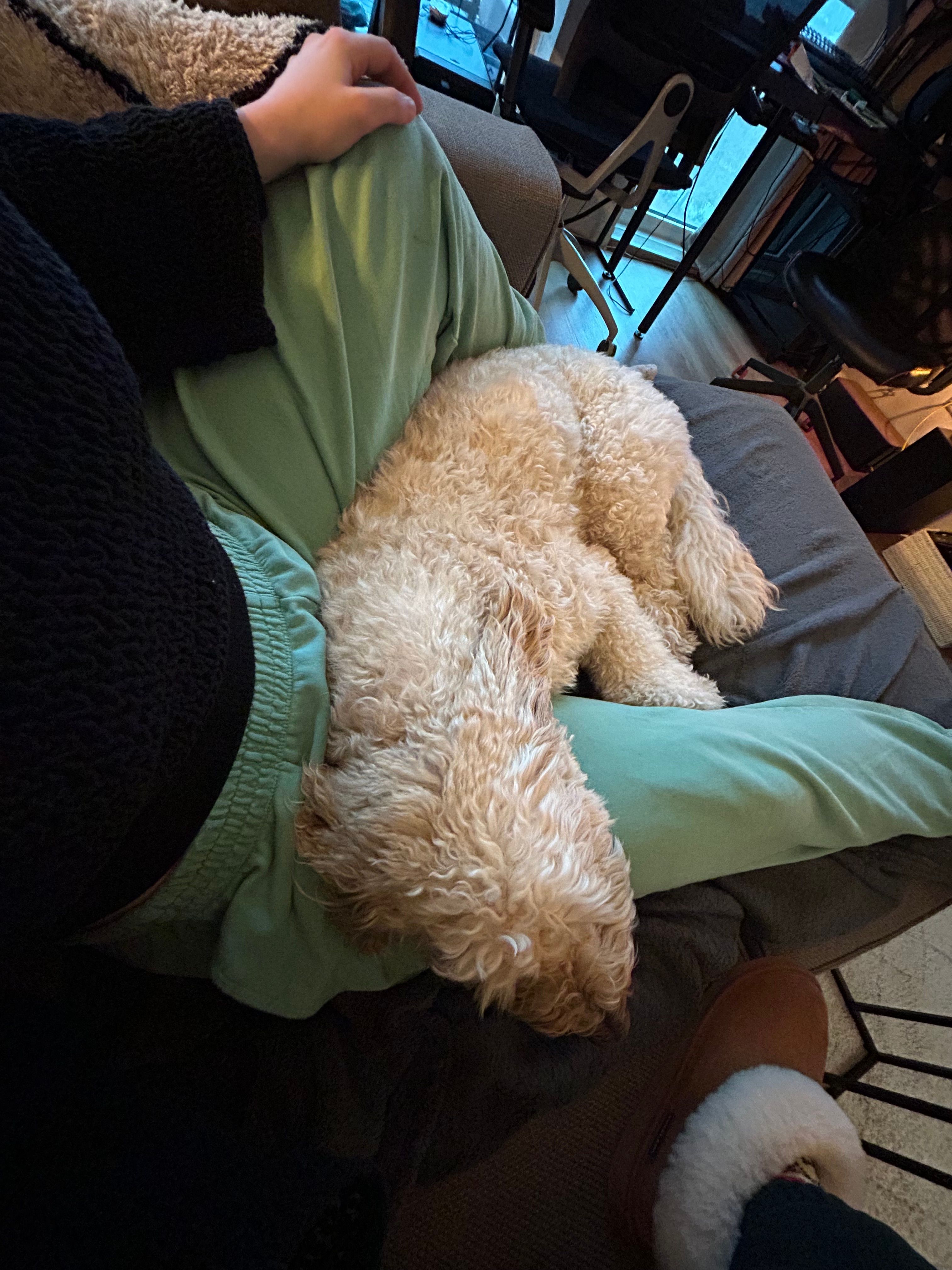 image-6
