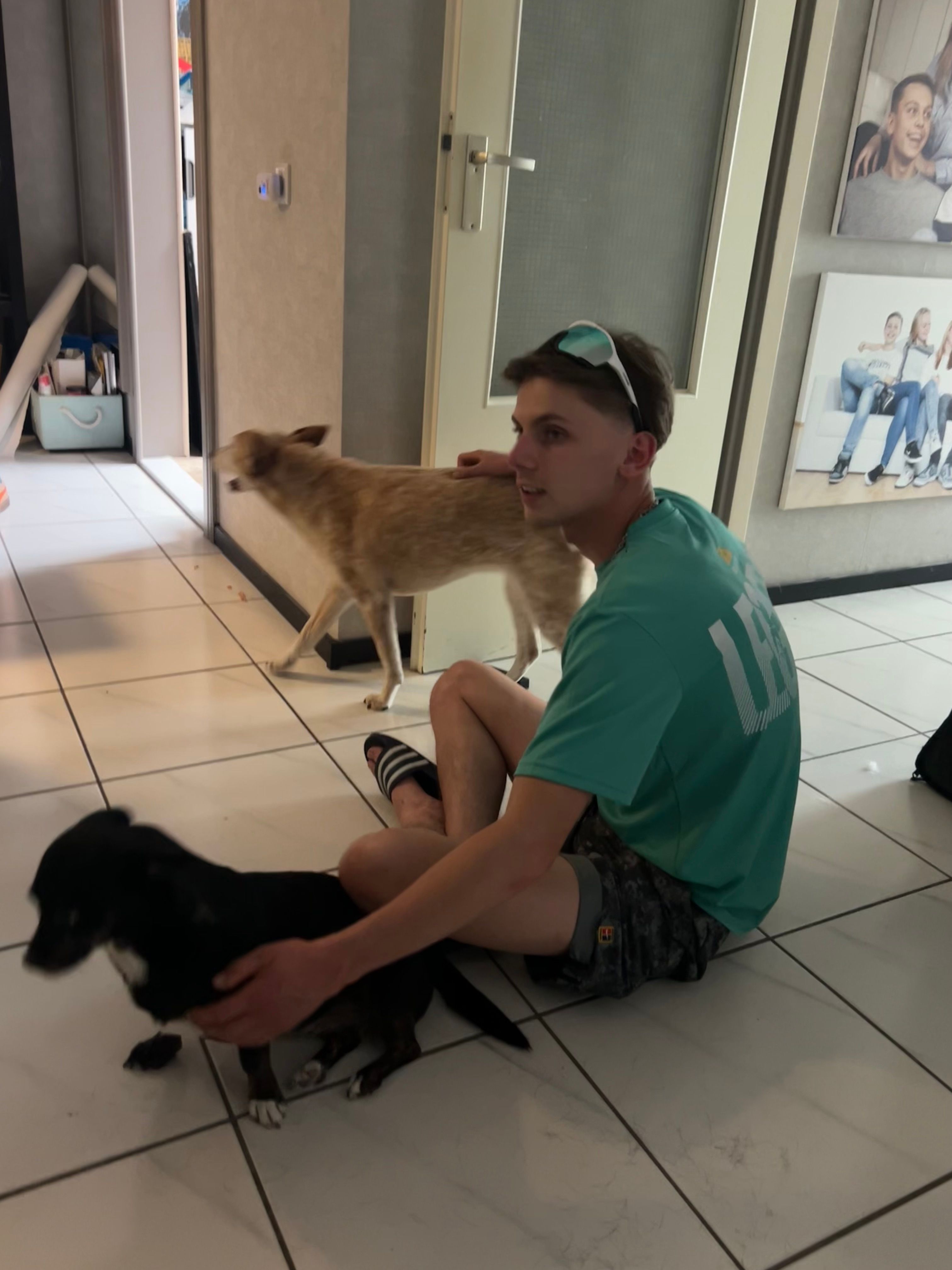 image-7