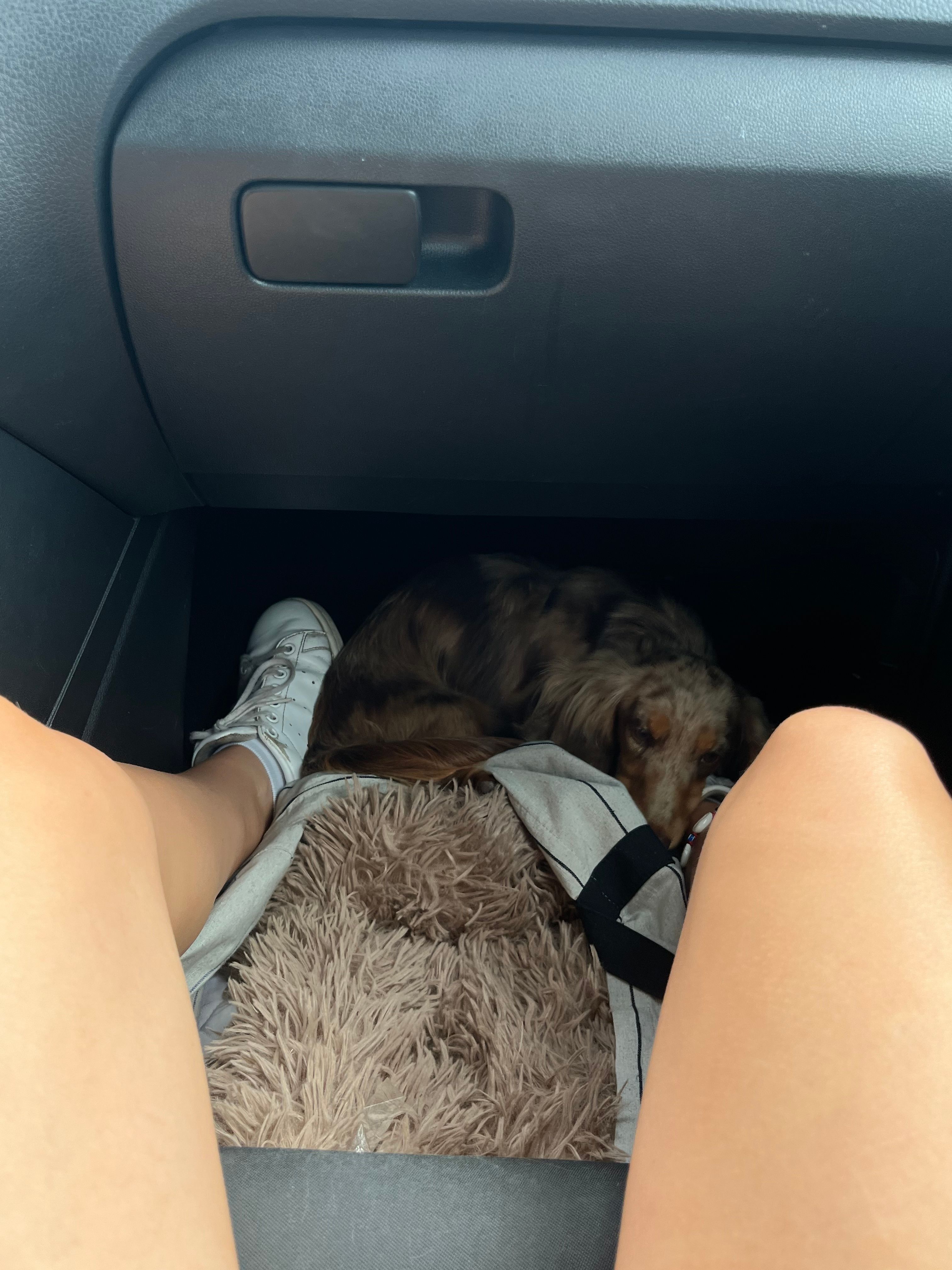 image-6
