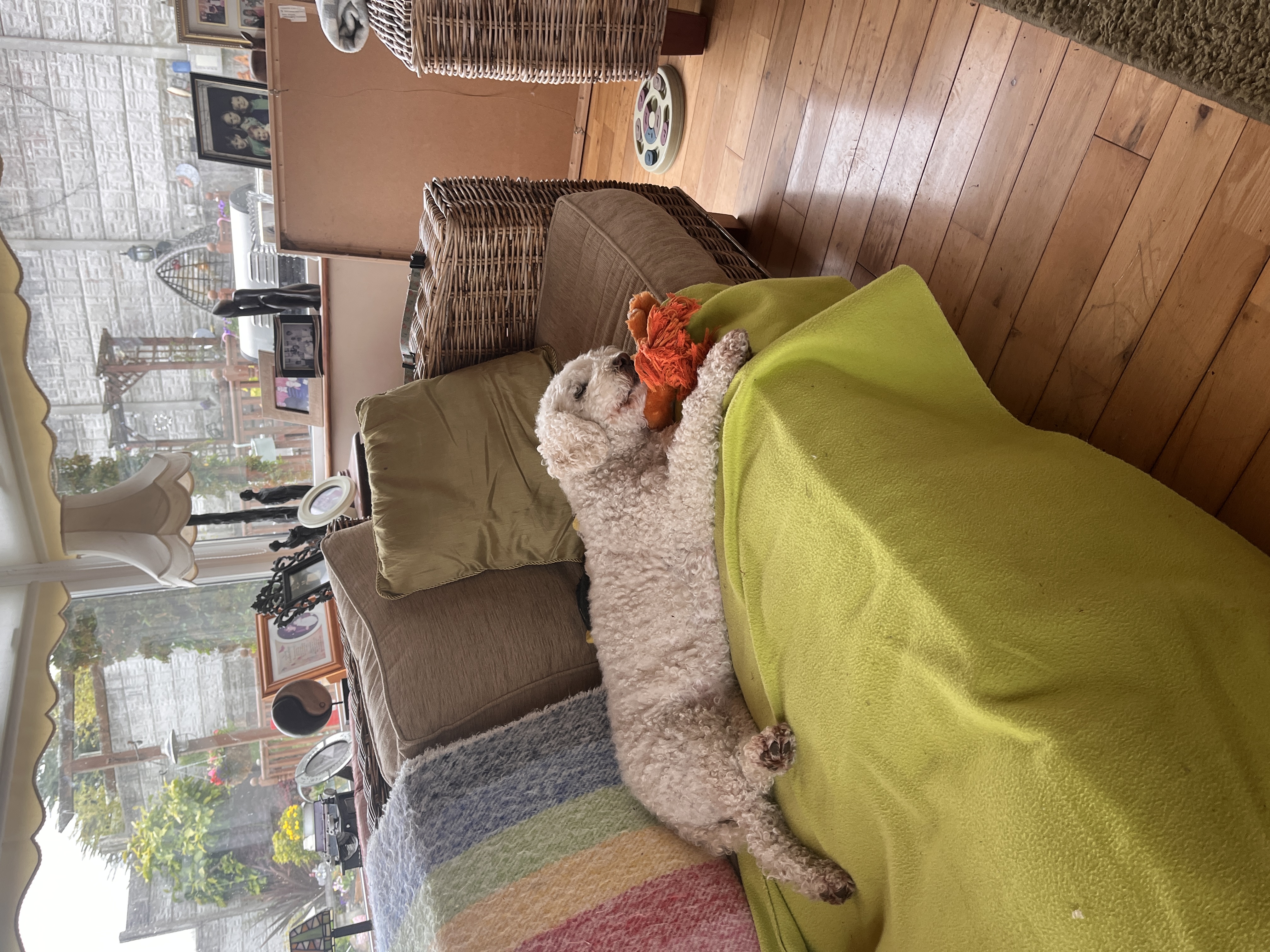 image-11