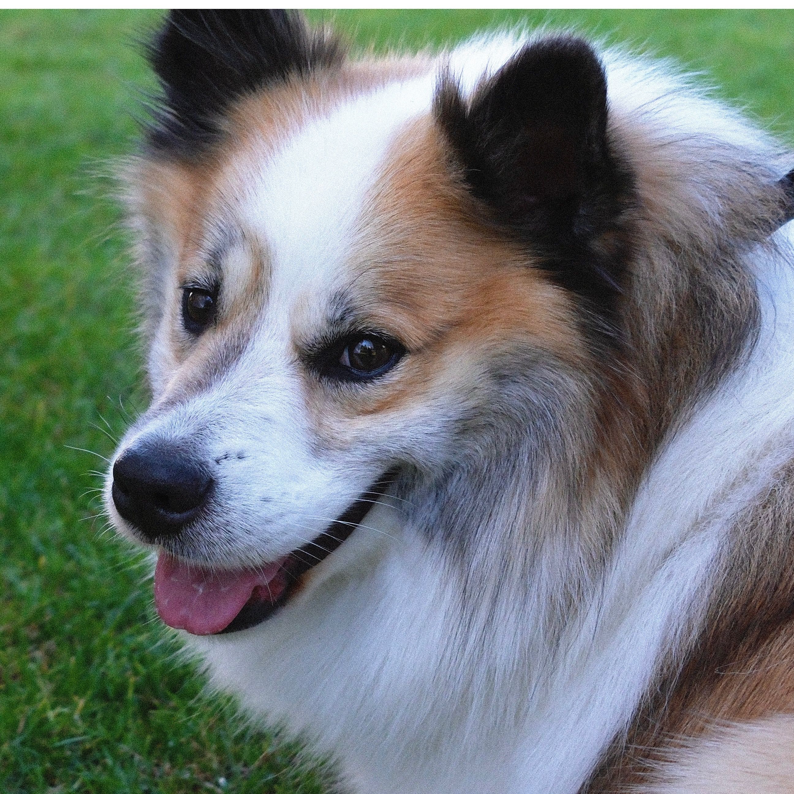 Hilde