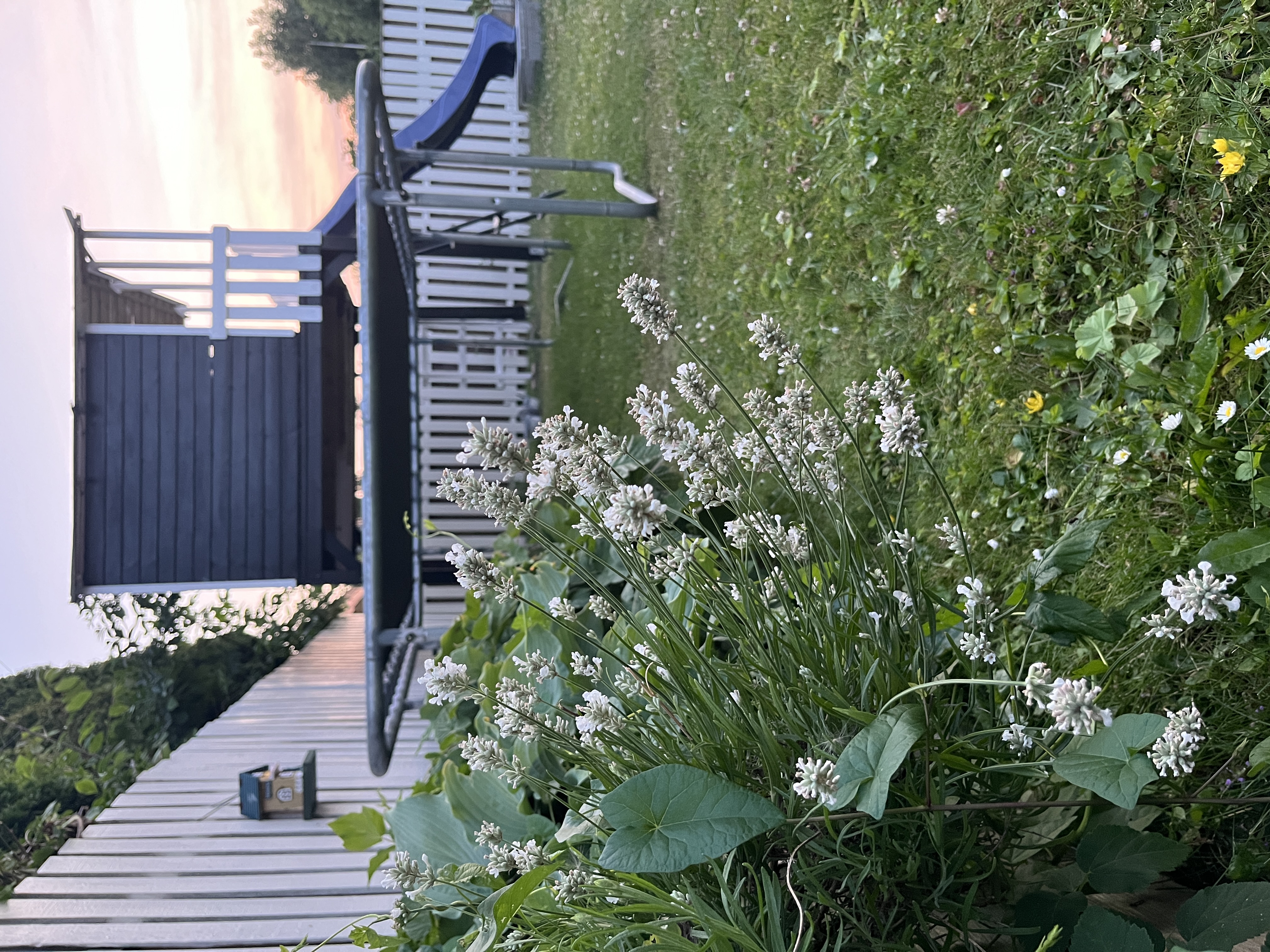 image-17