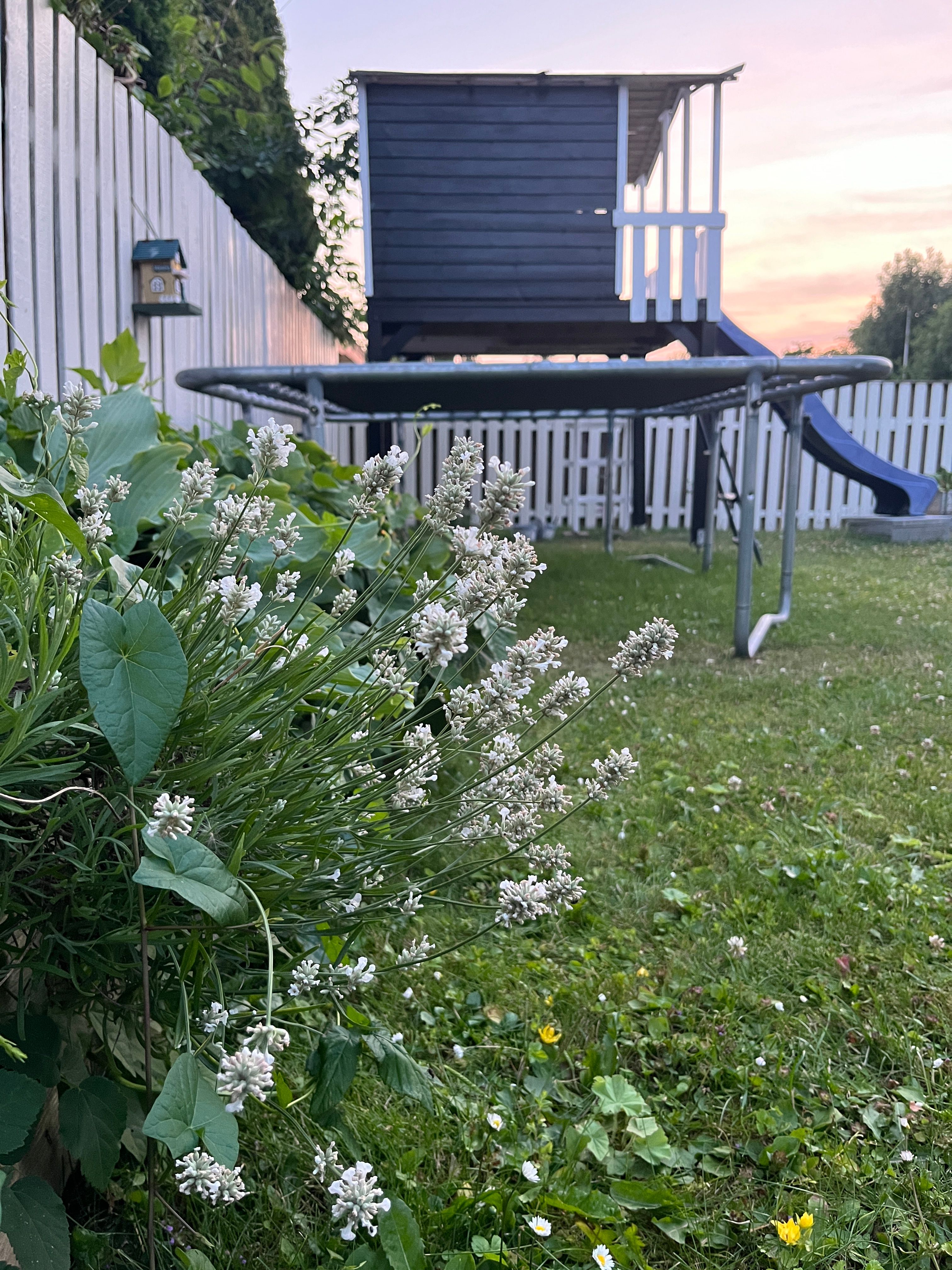 image-17