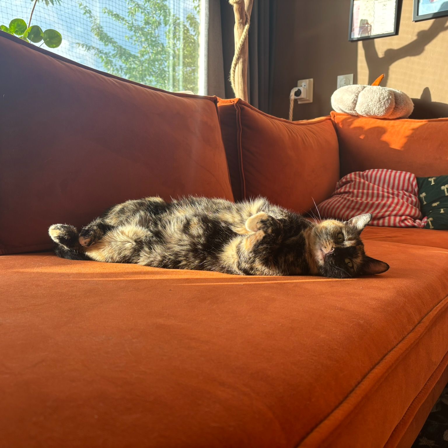Vesta