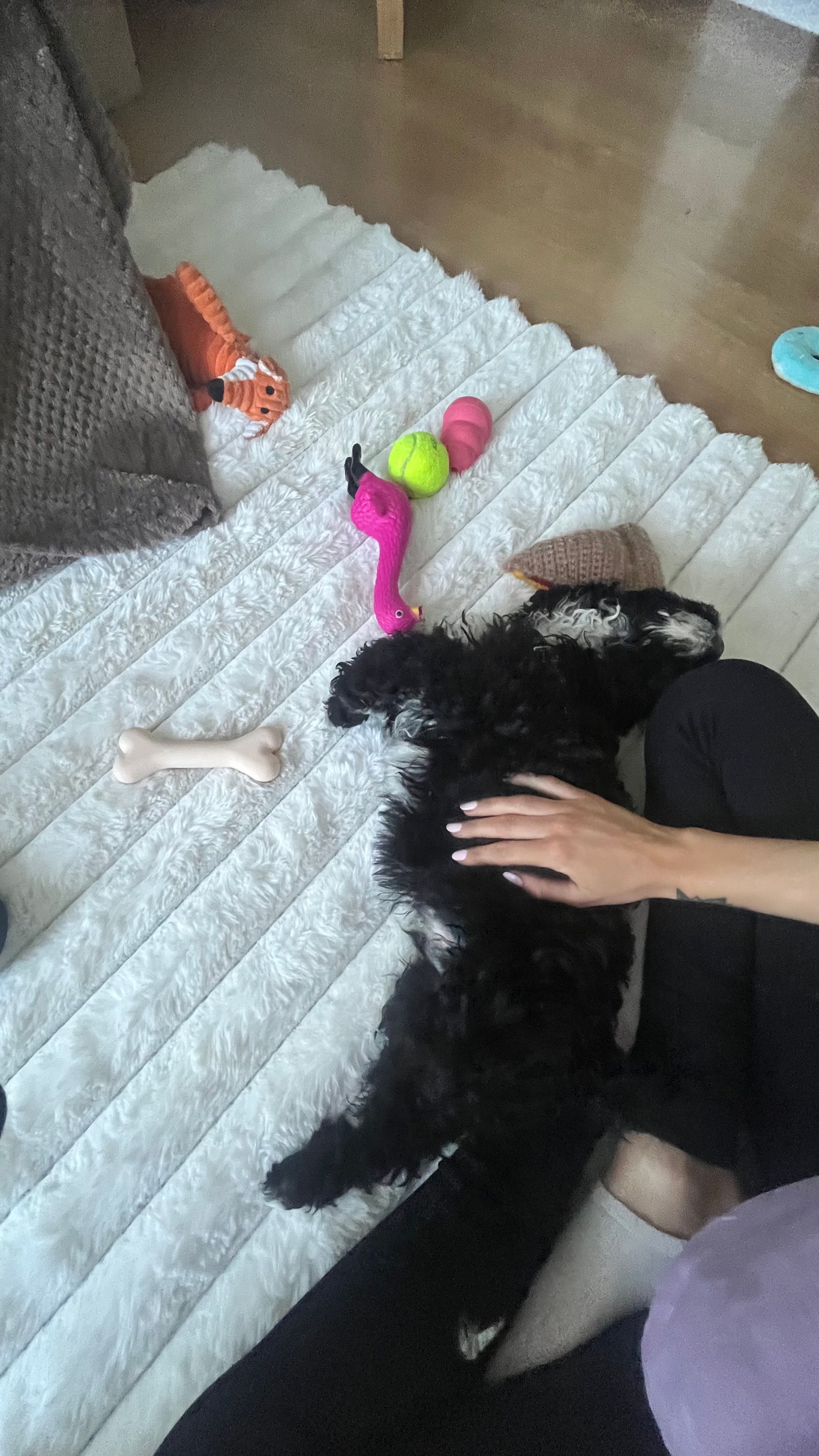 image-9