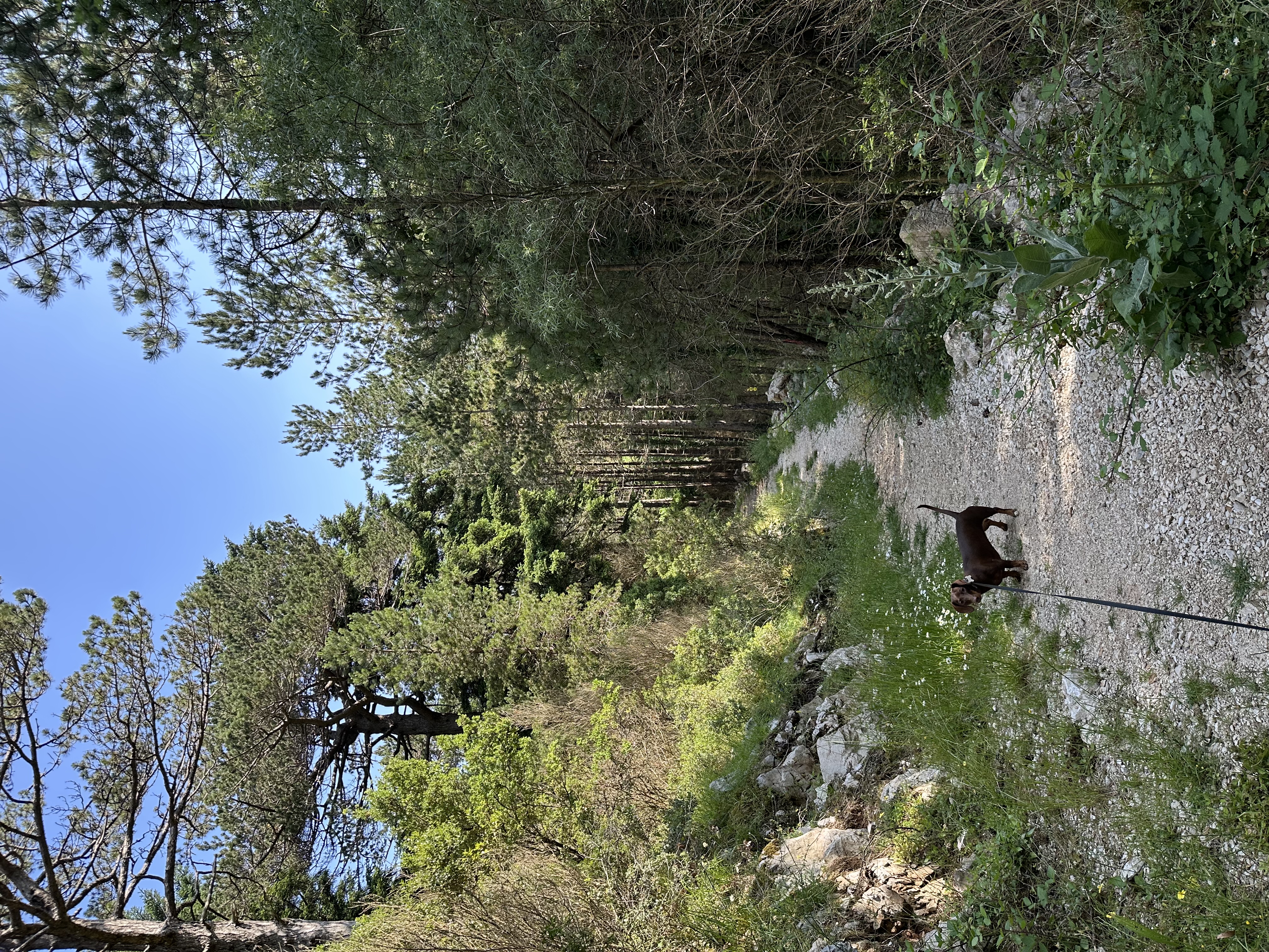 image-8