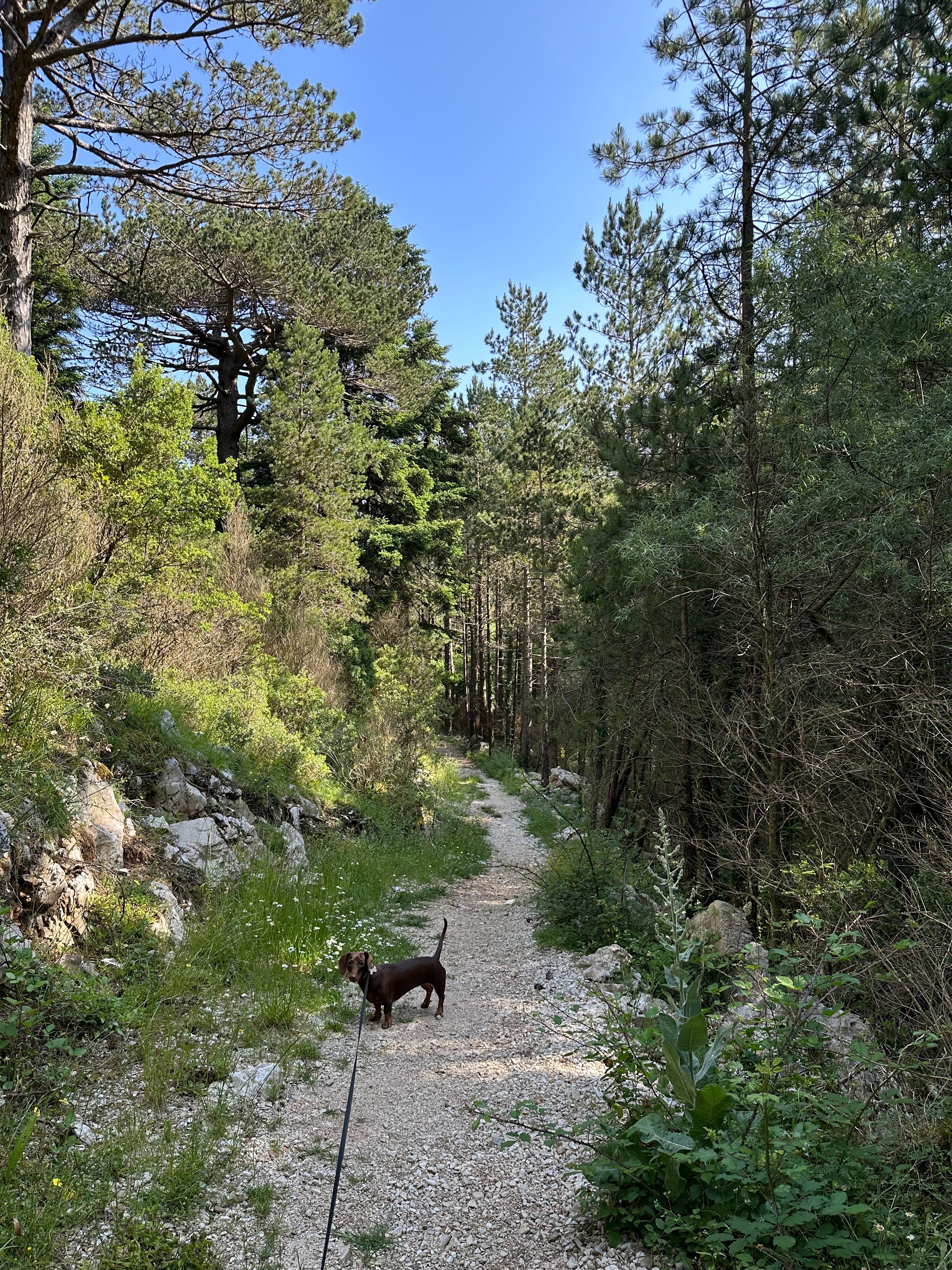 image-8