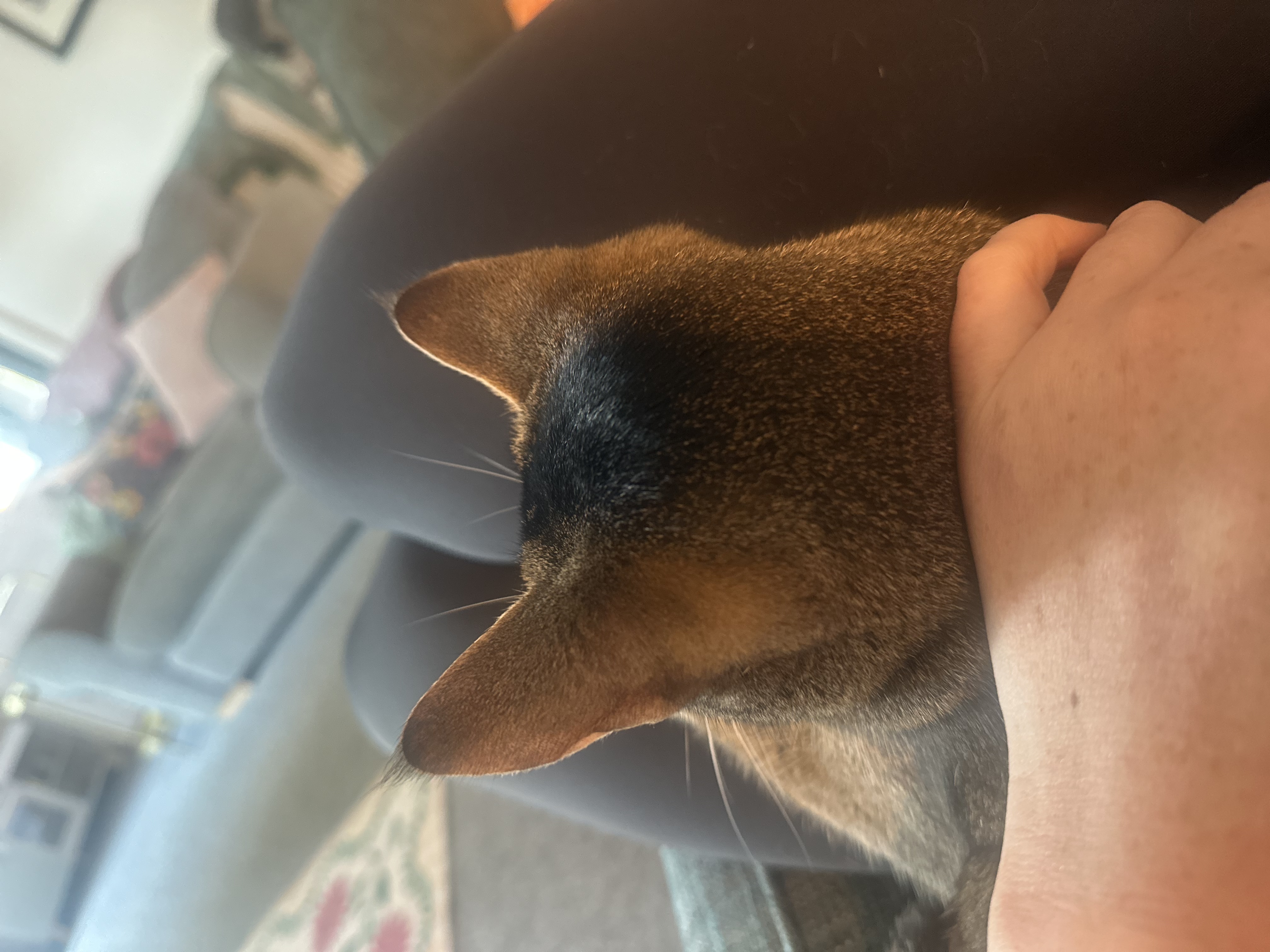 image-7