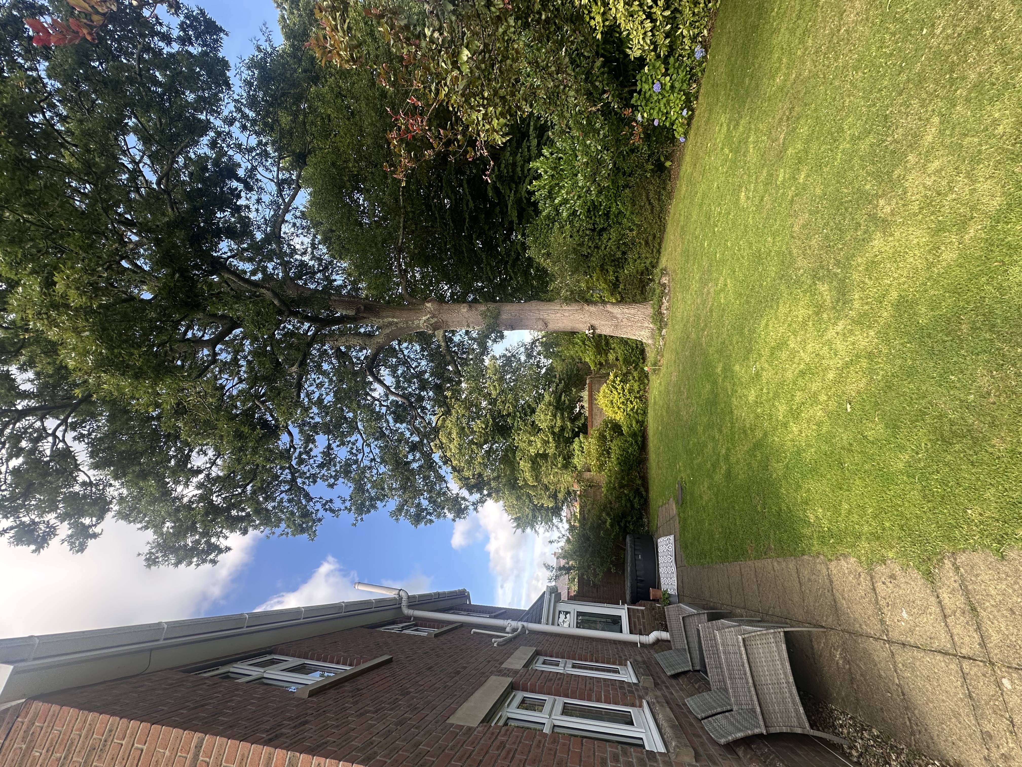 image-19
