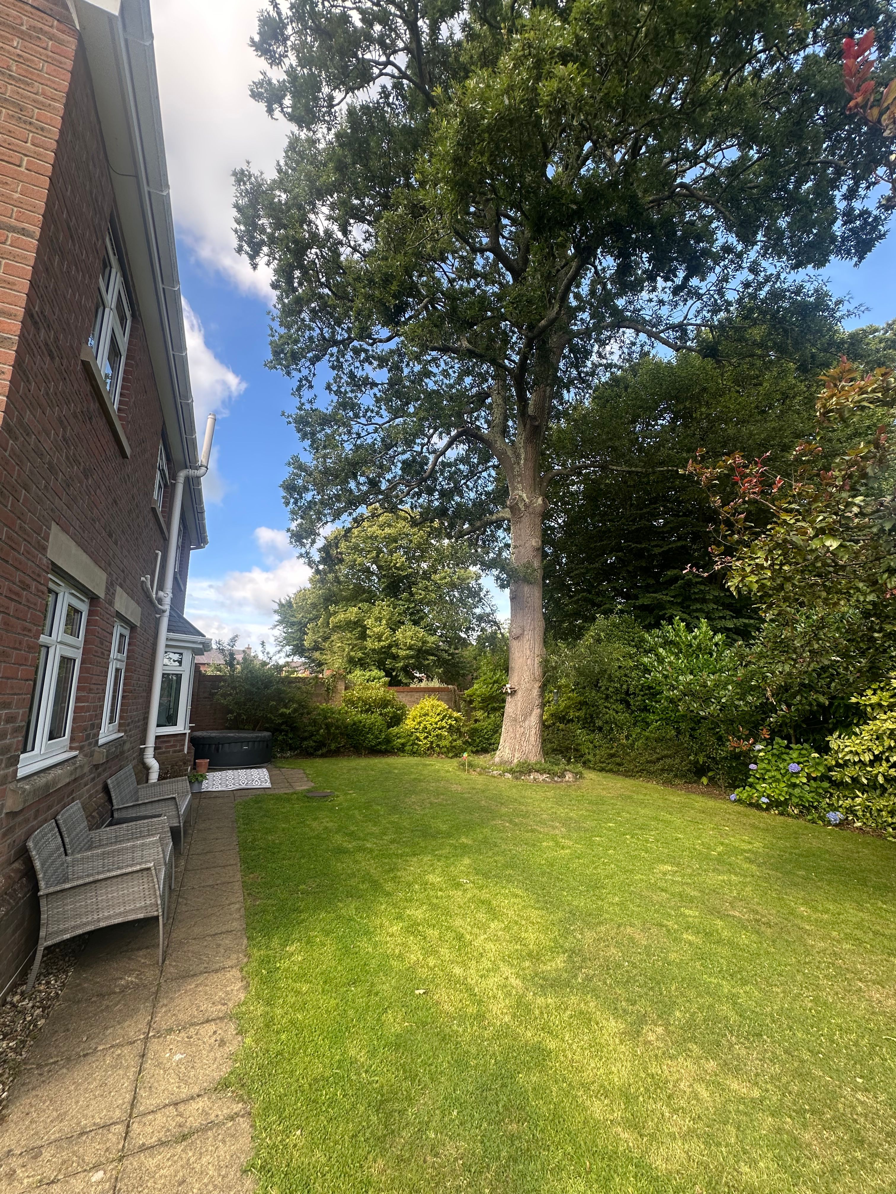 image-19