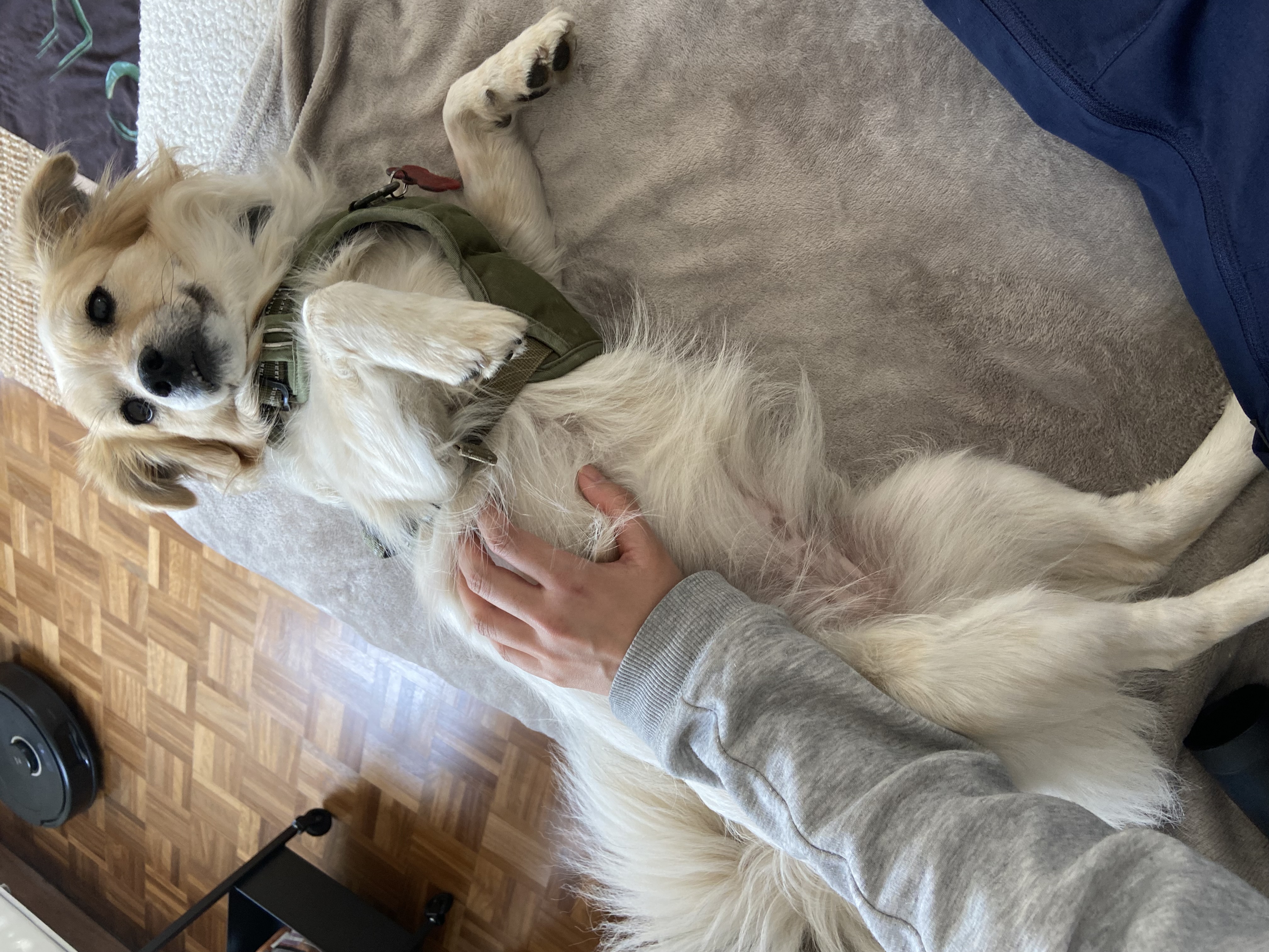 image-8
