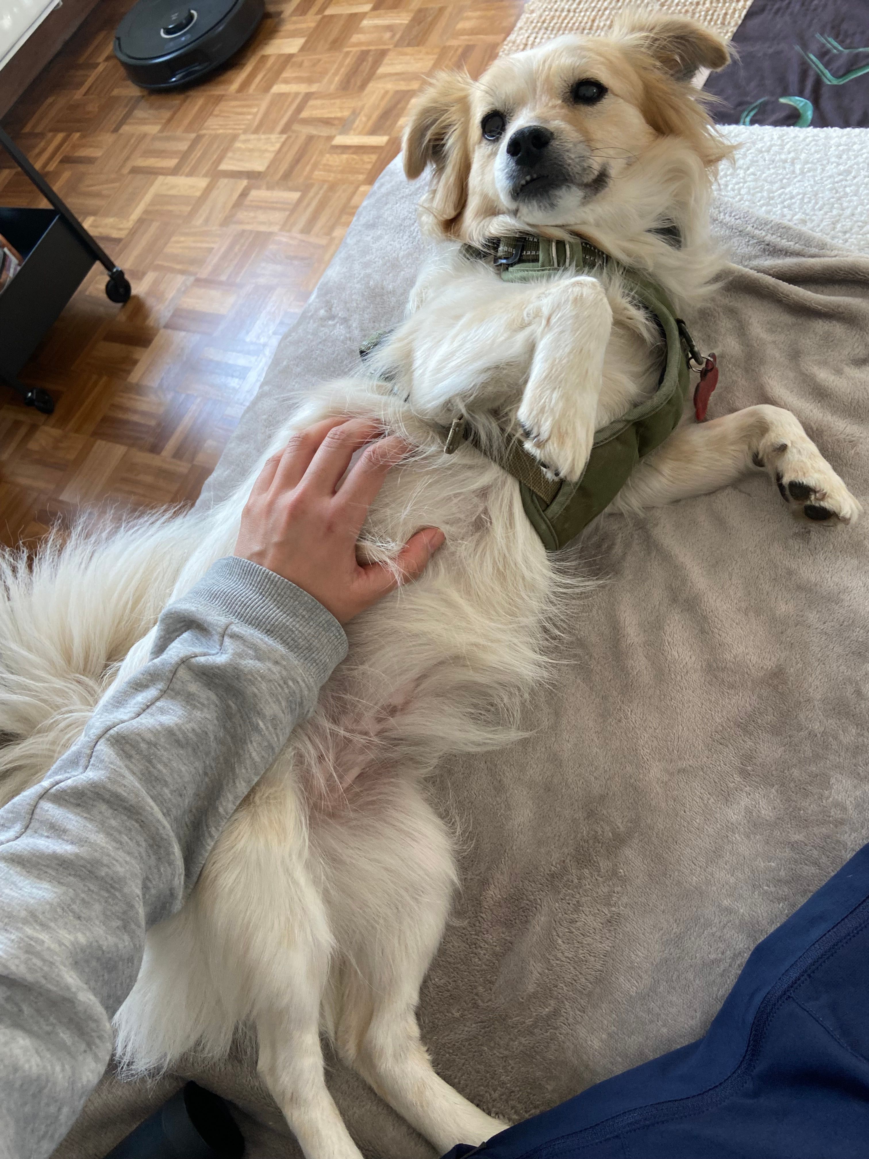 image-8
