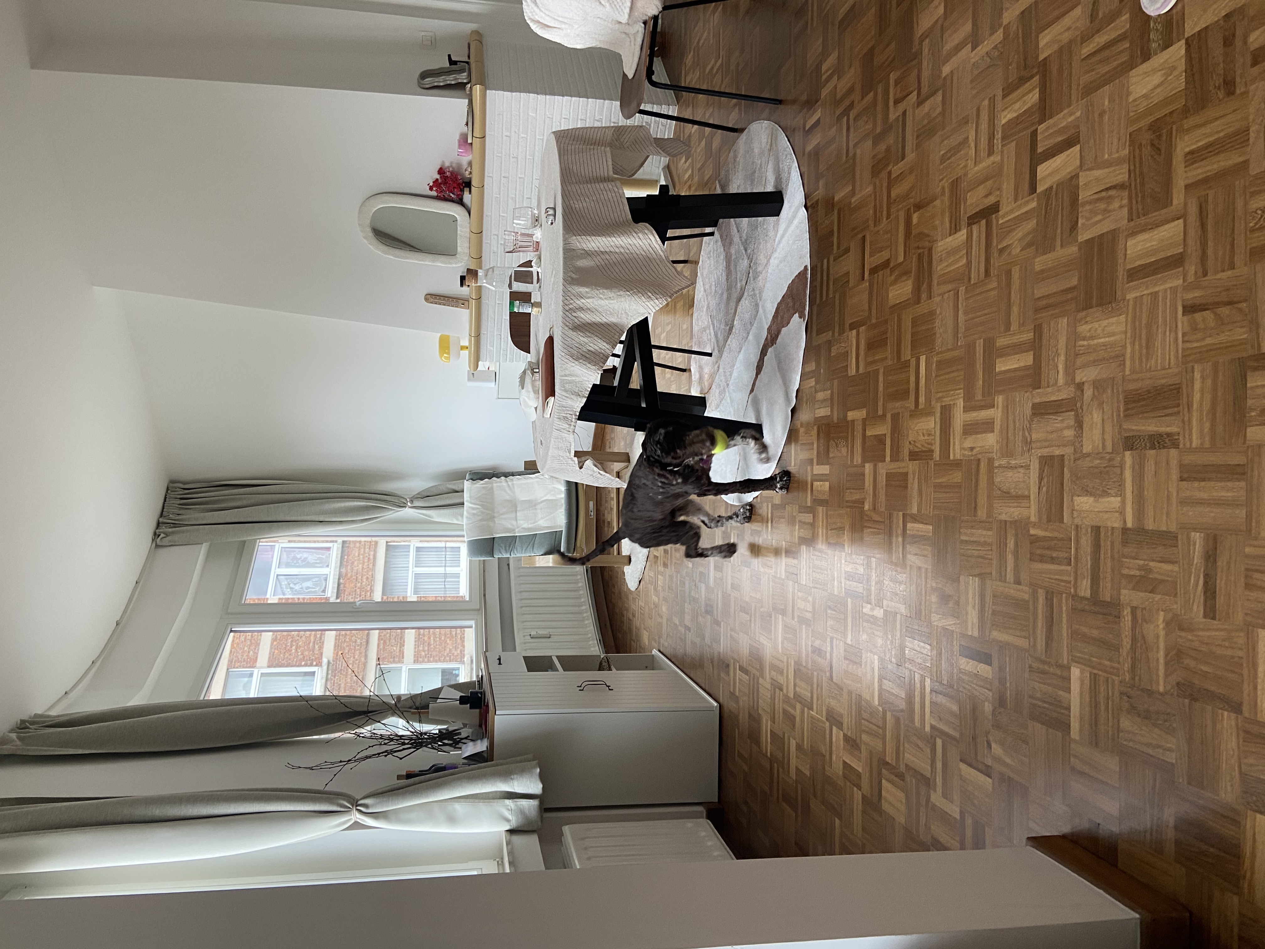 image-32