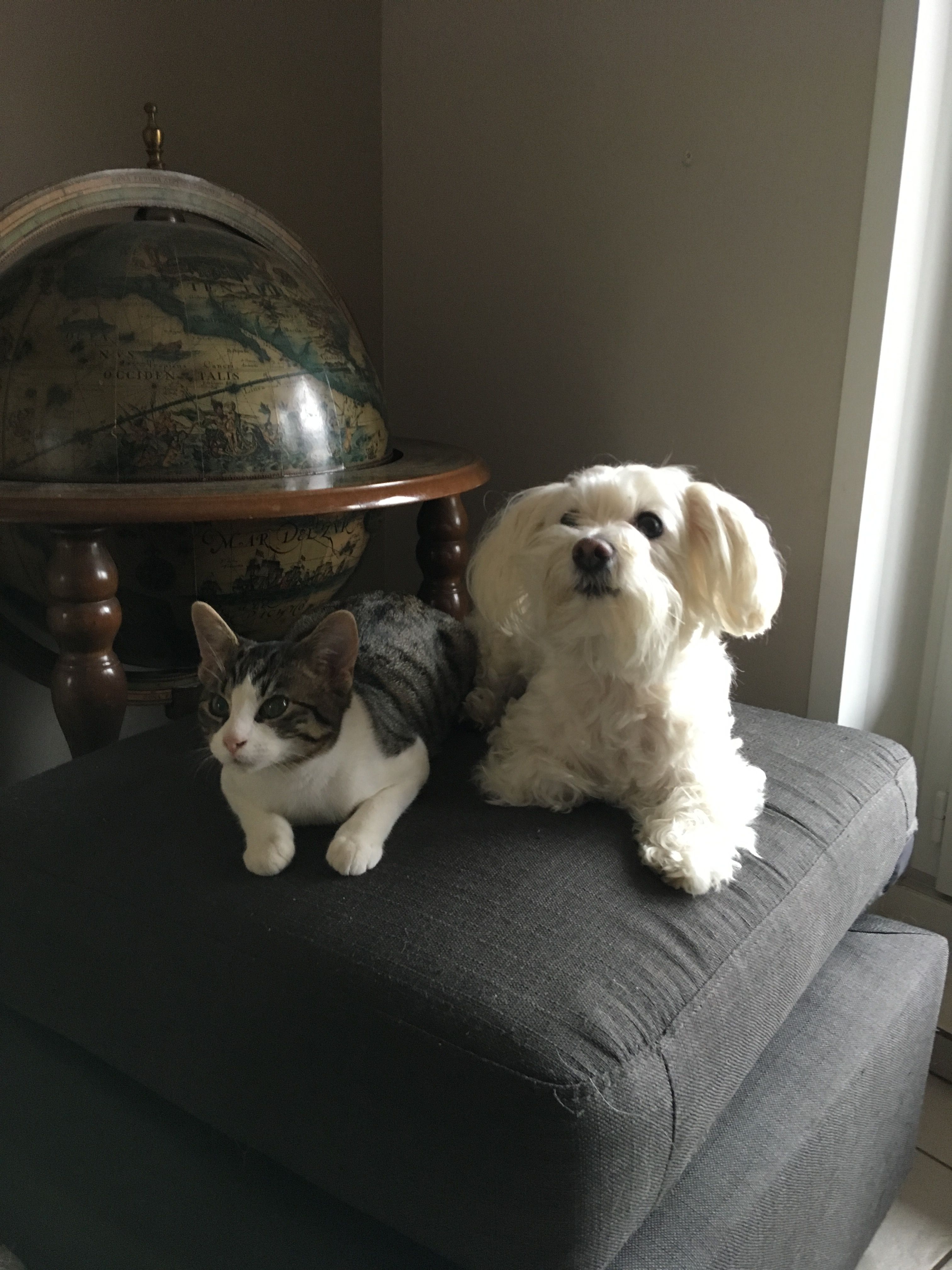image-7