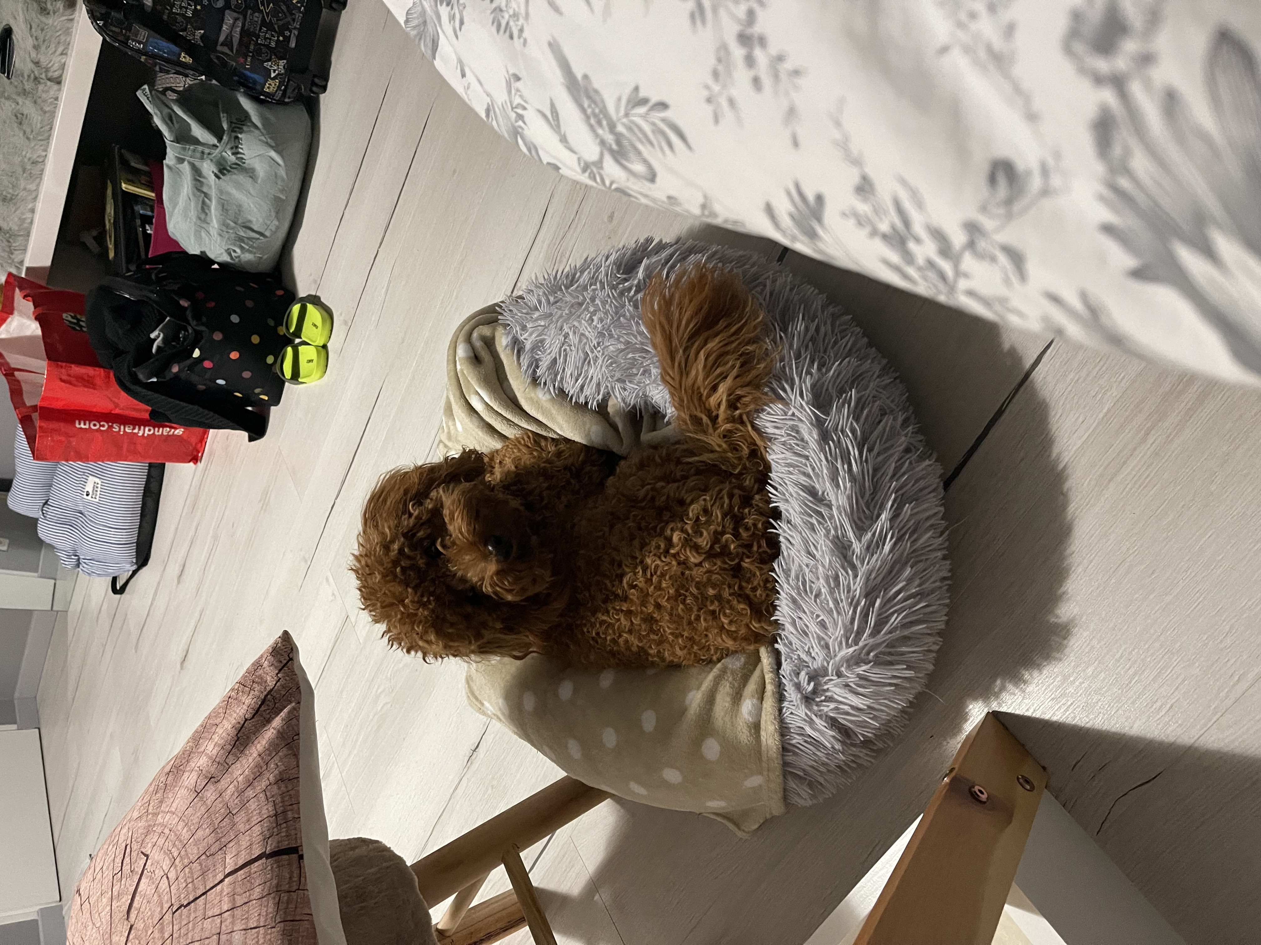image-8
