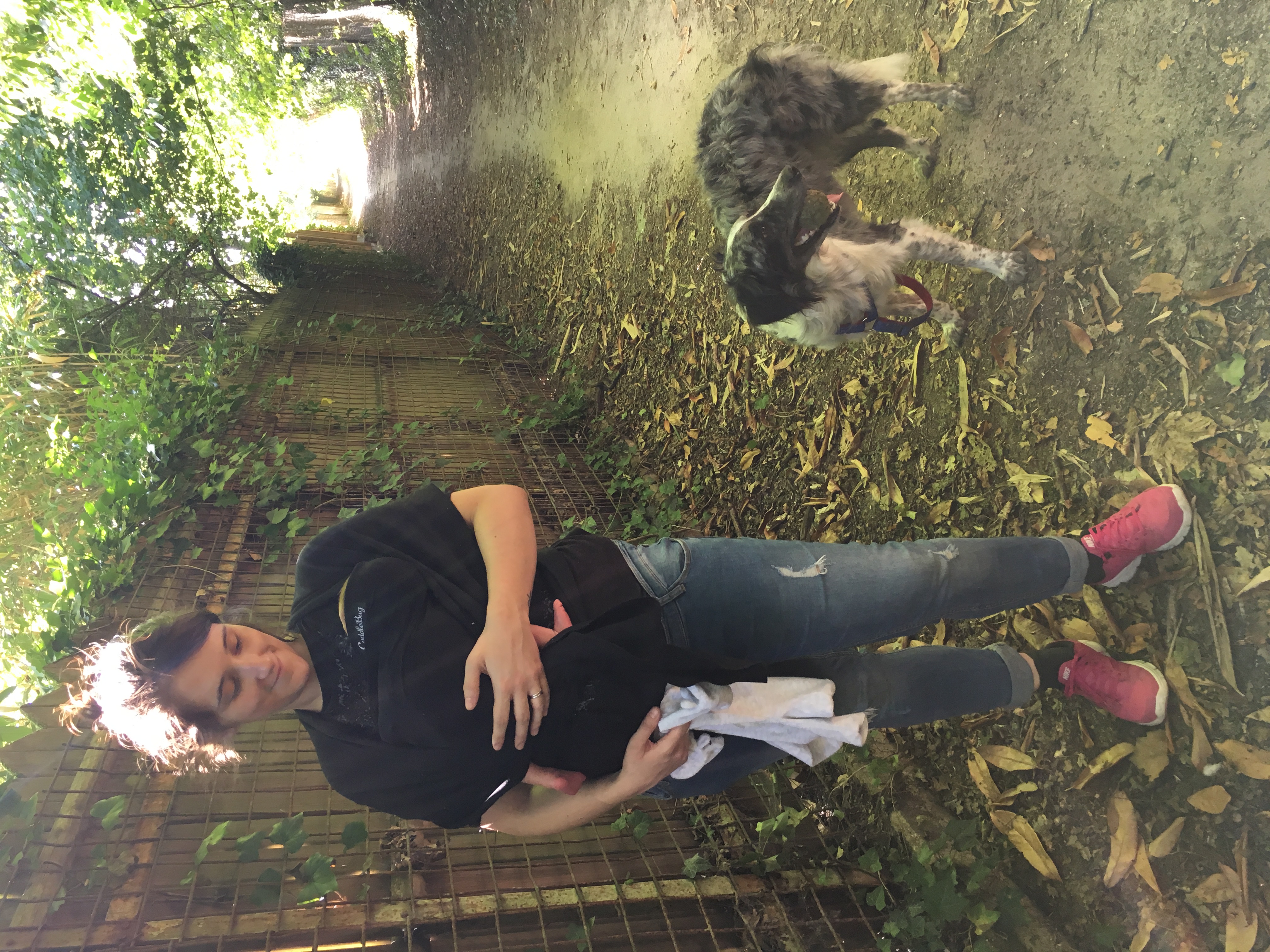 image-6