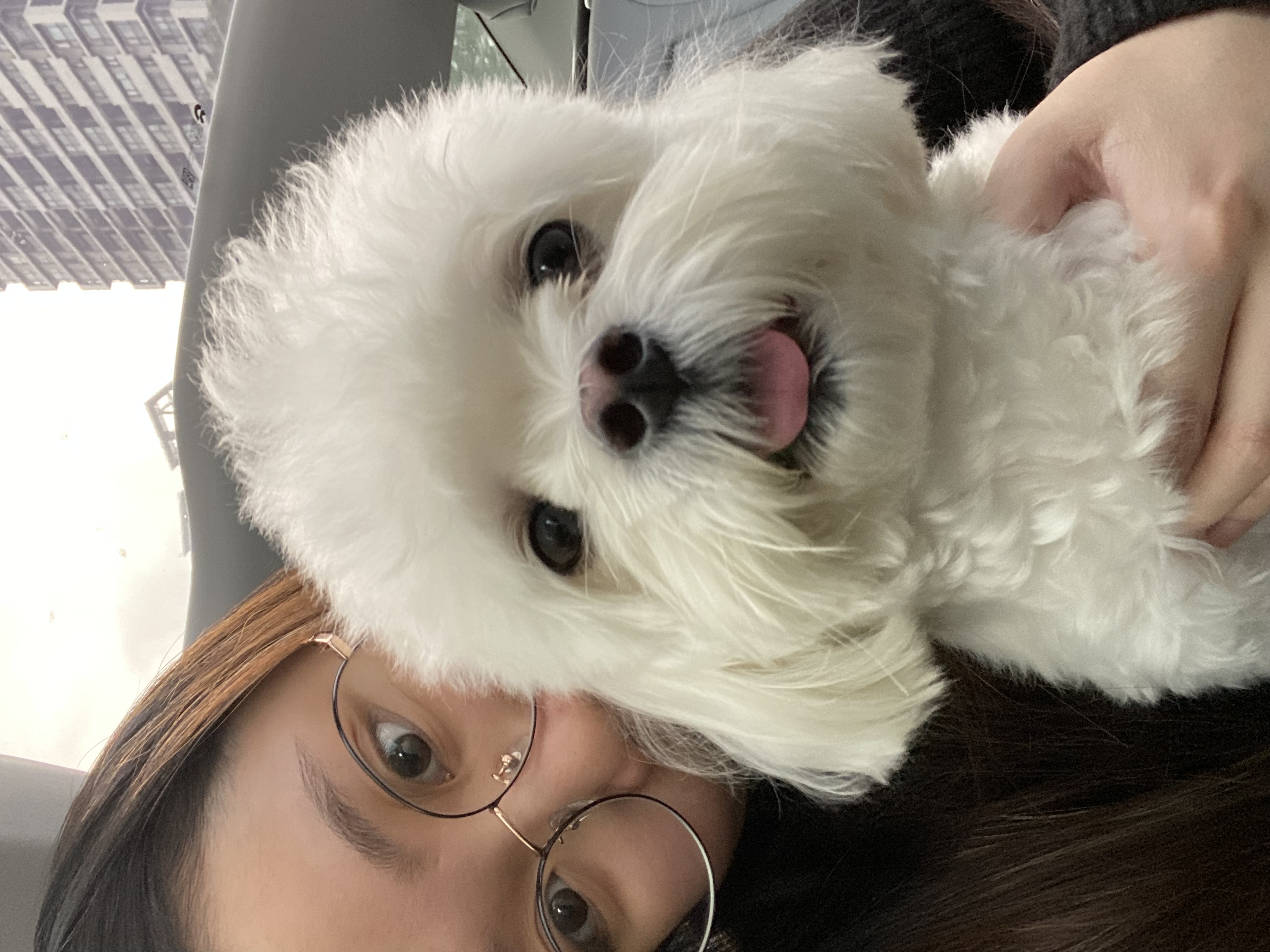 image-3
