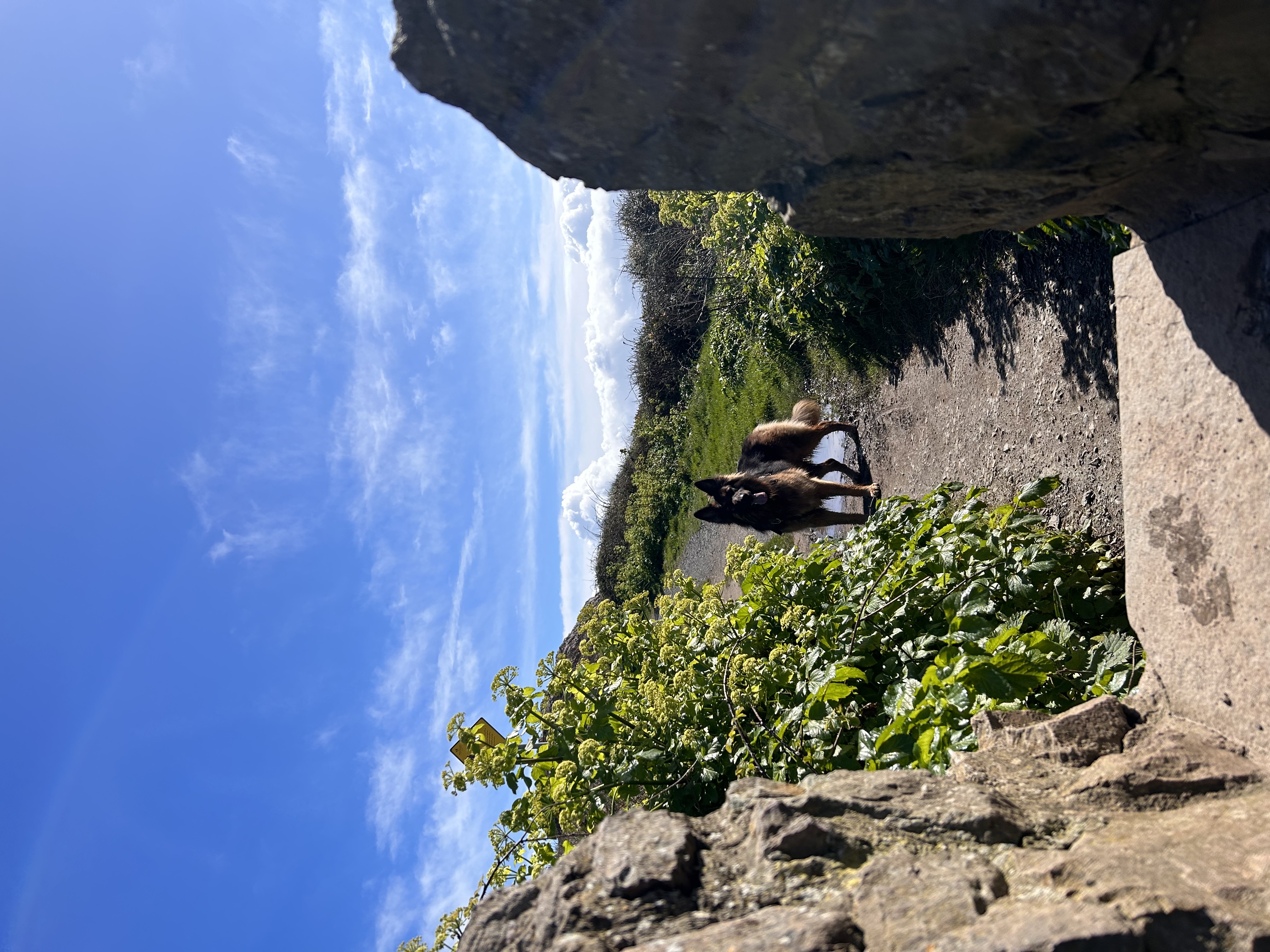 image-4