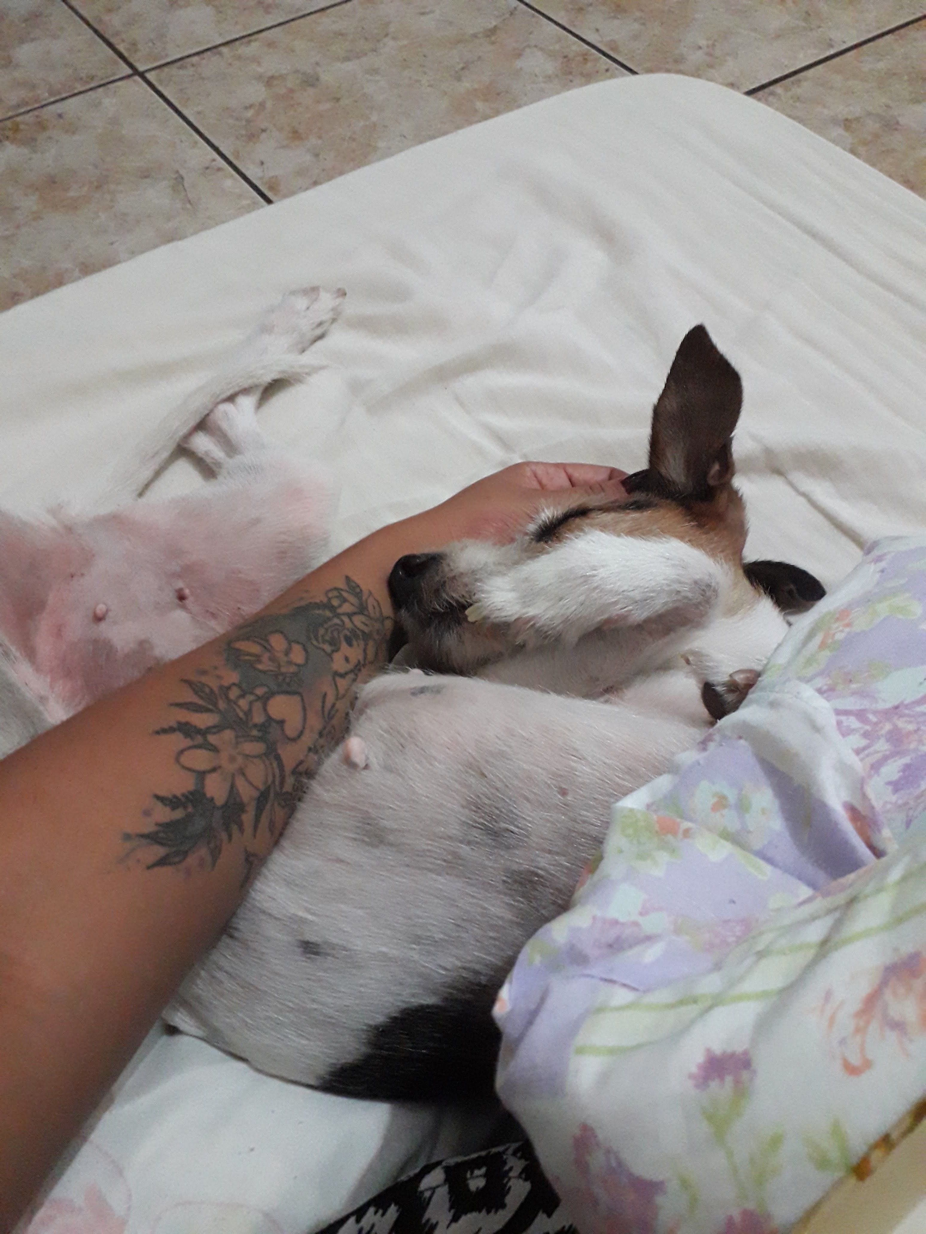 image-7