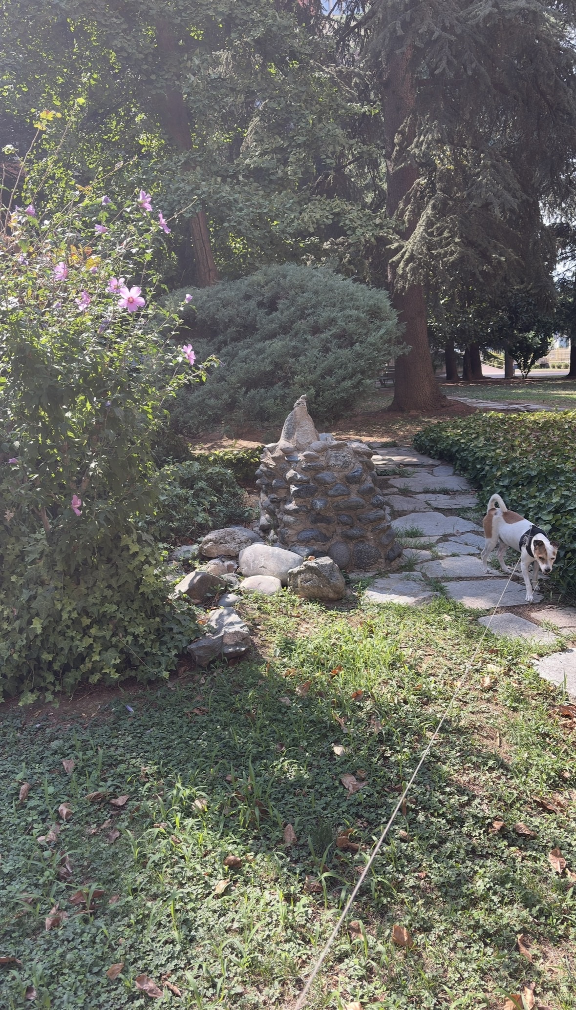 image-15