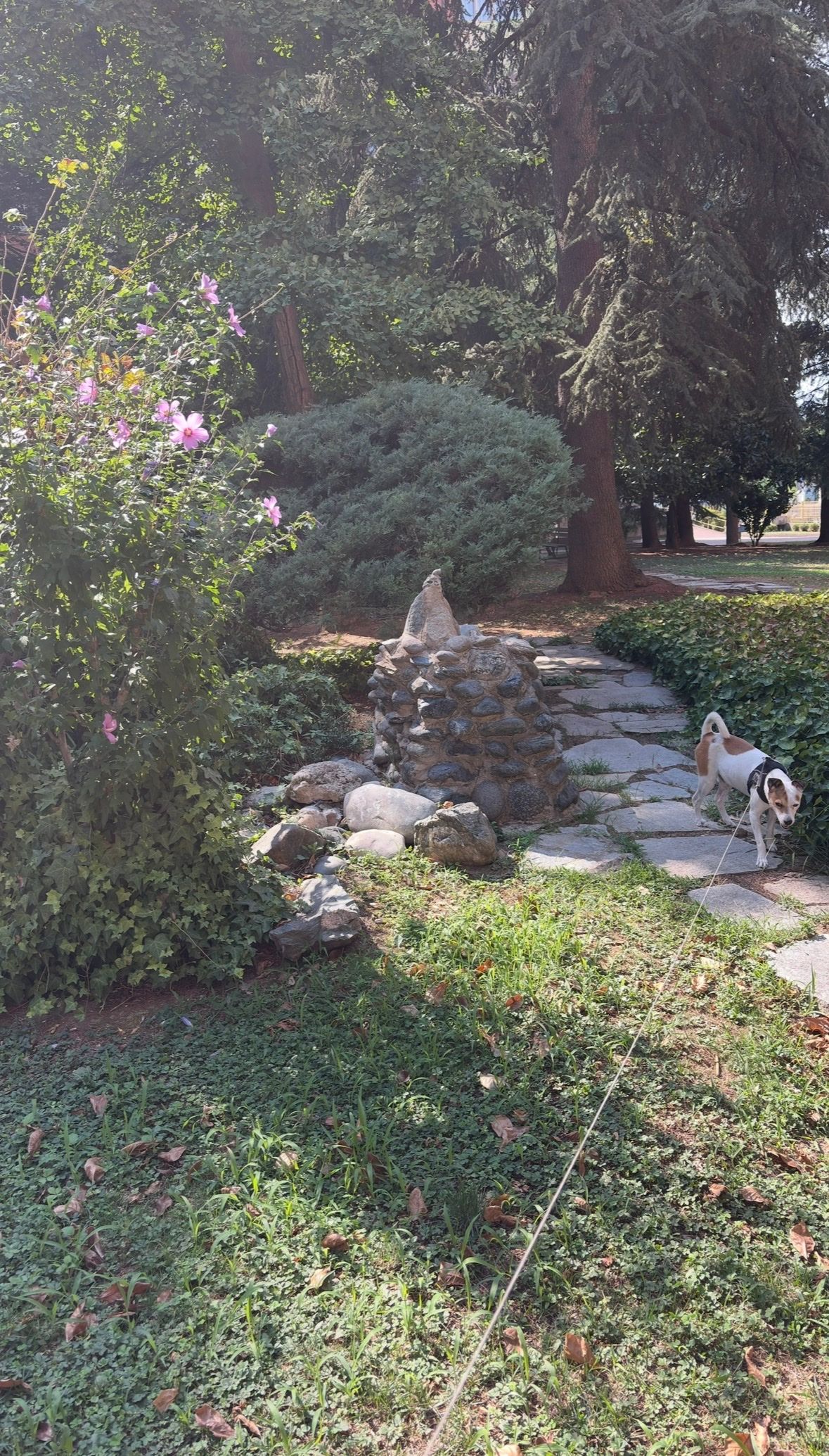 image-15