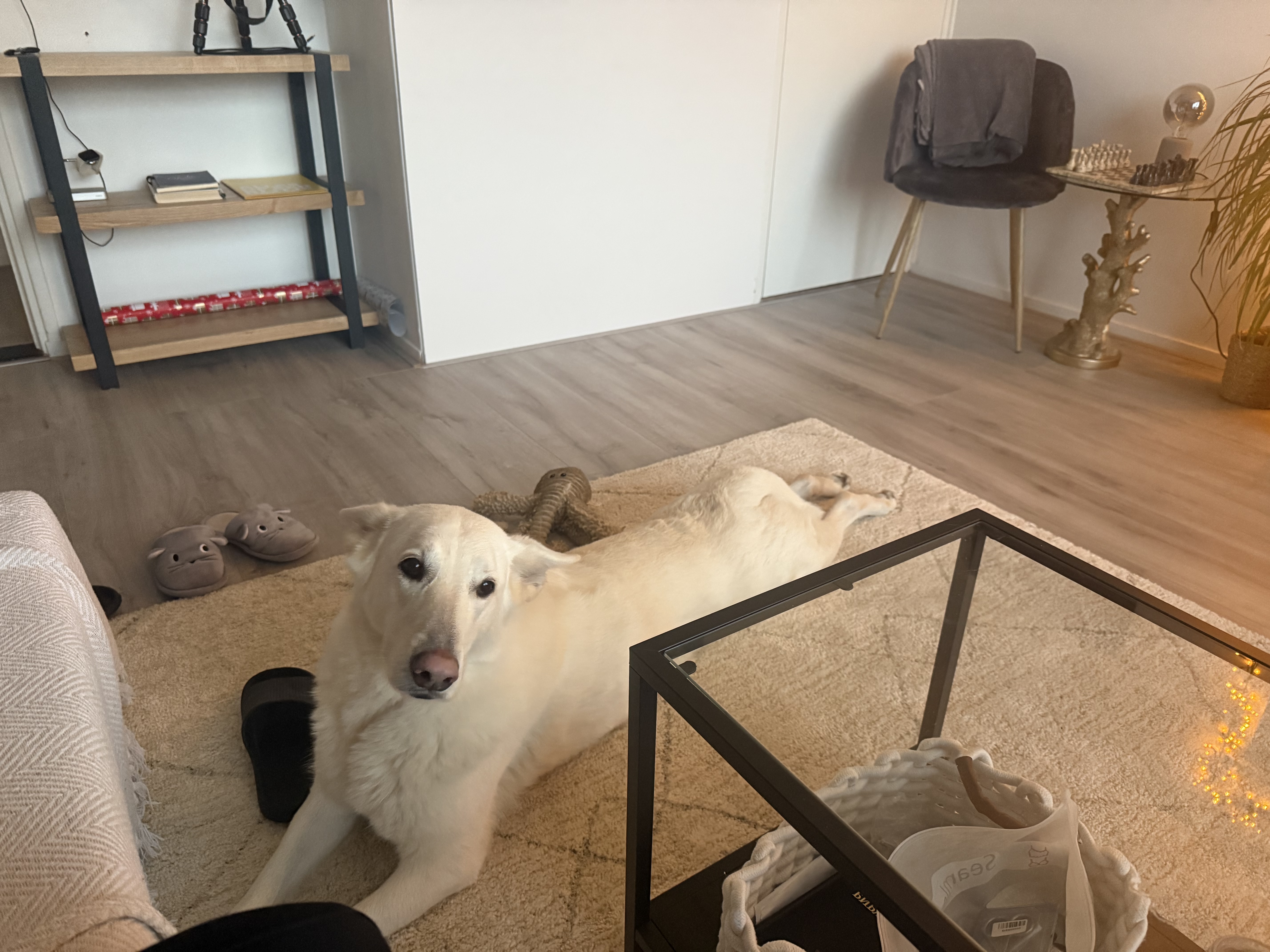 image-8