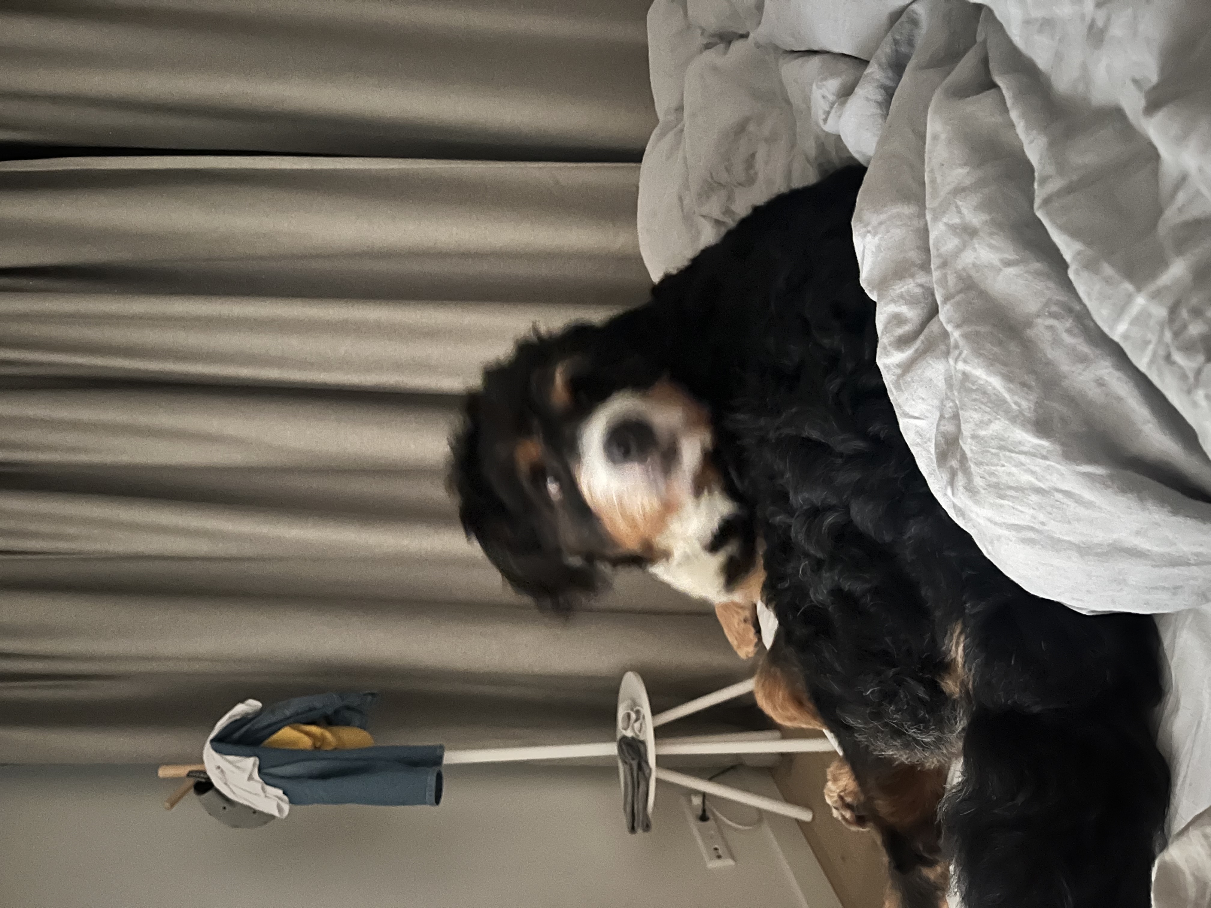 image-10
