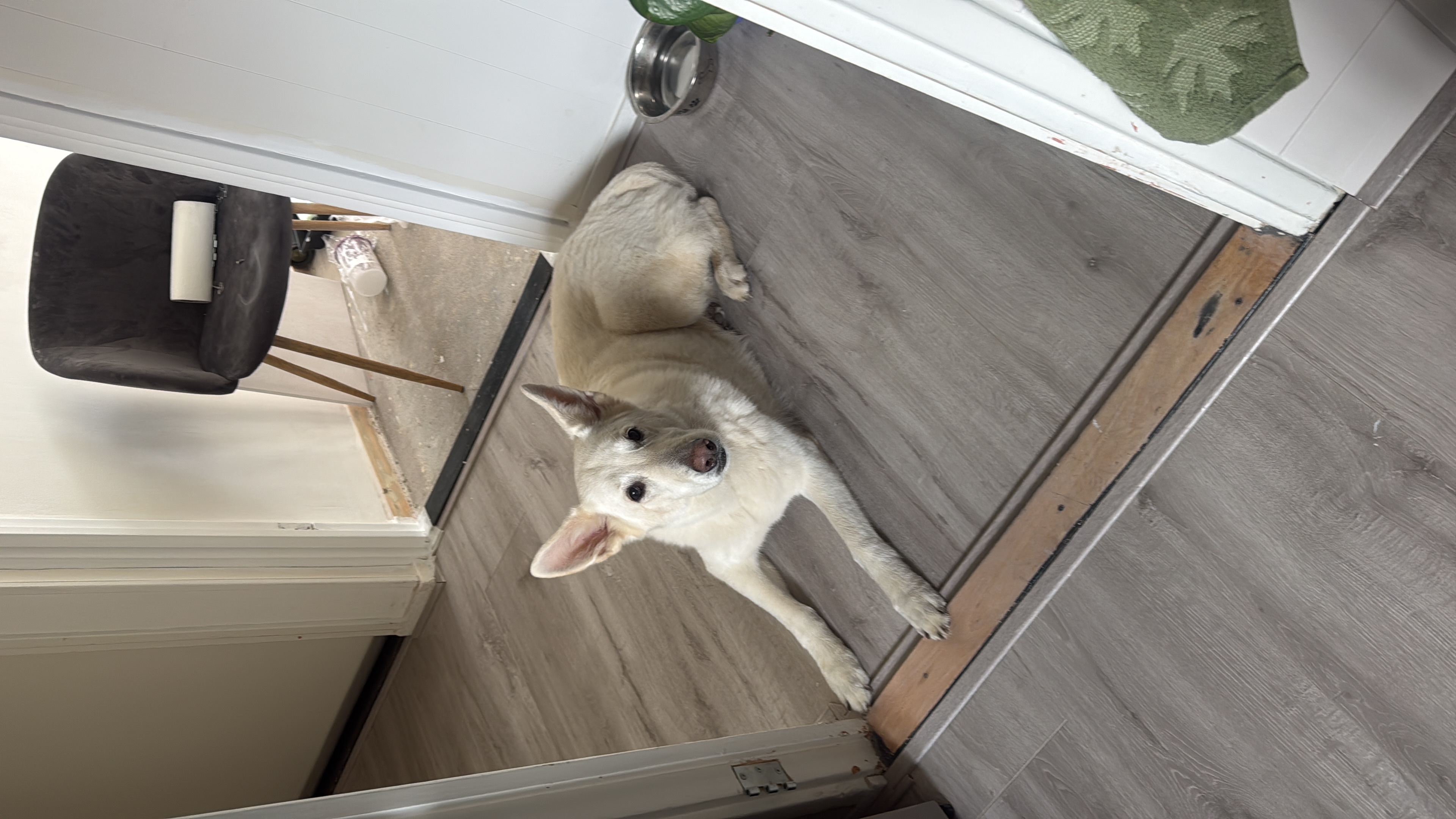 image-7