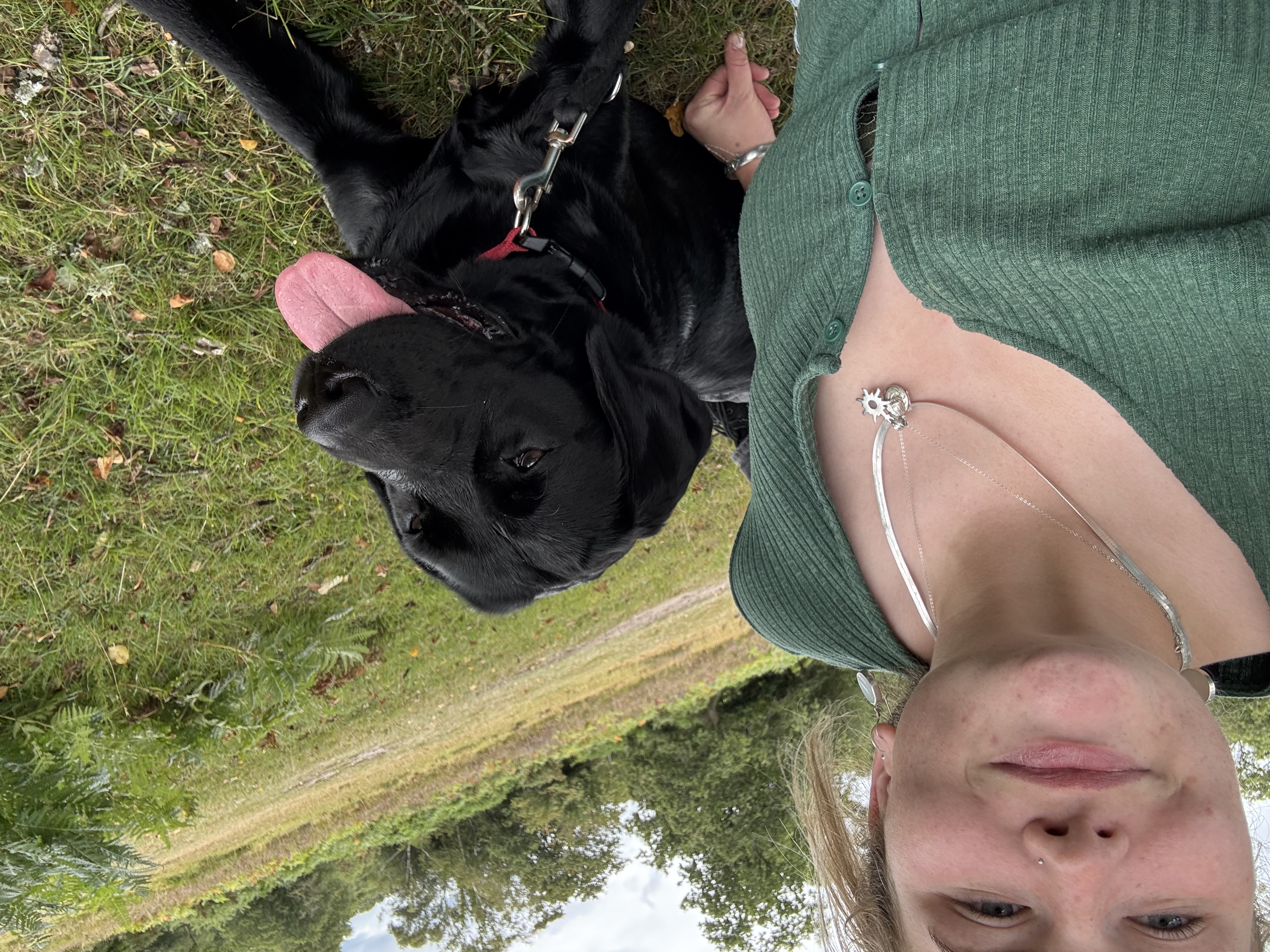 image-5