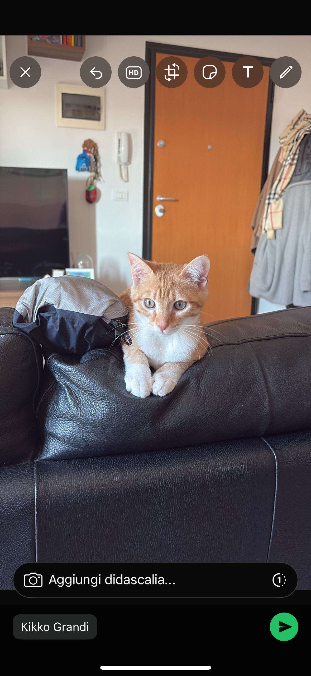 image-9