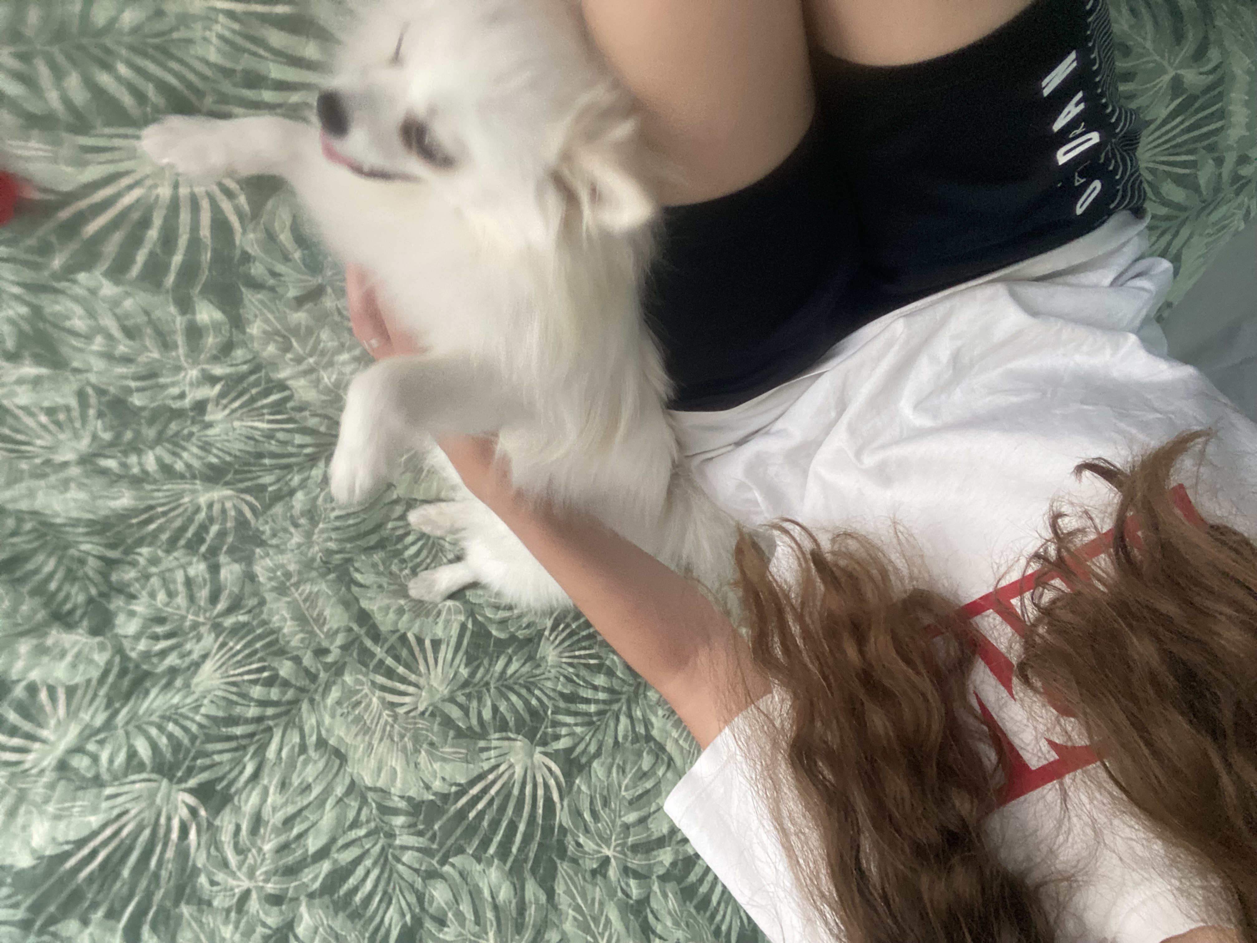 image-7