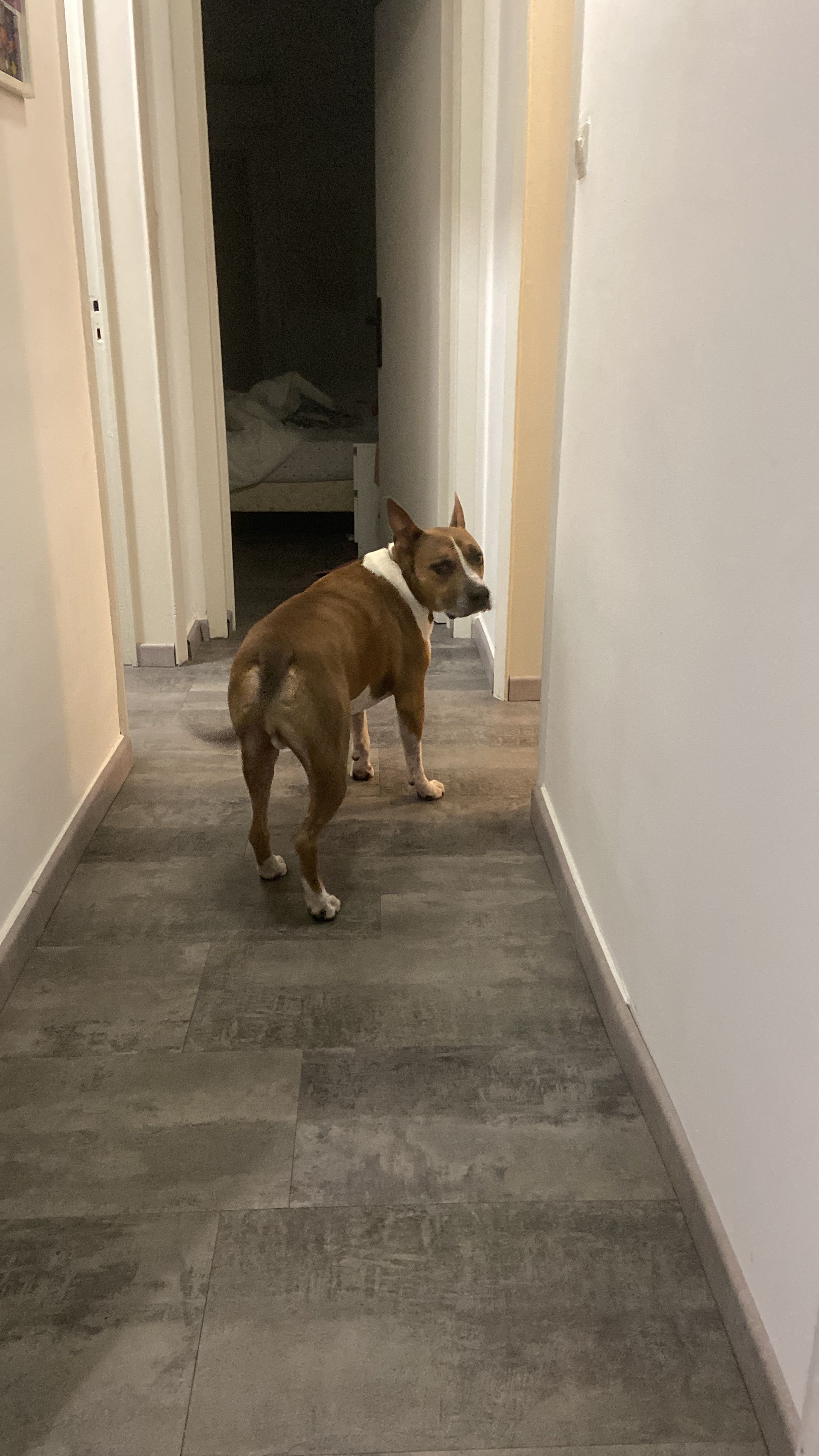 image-18